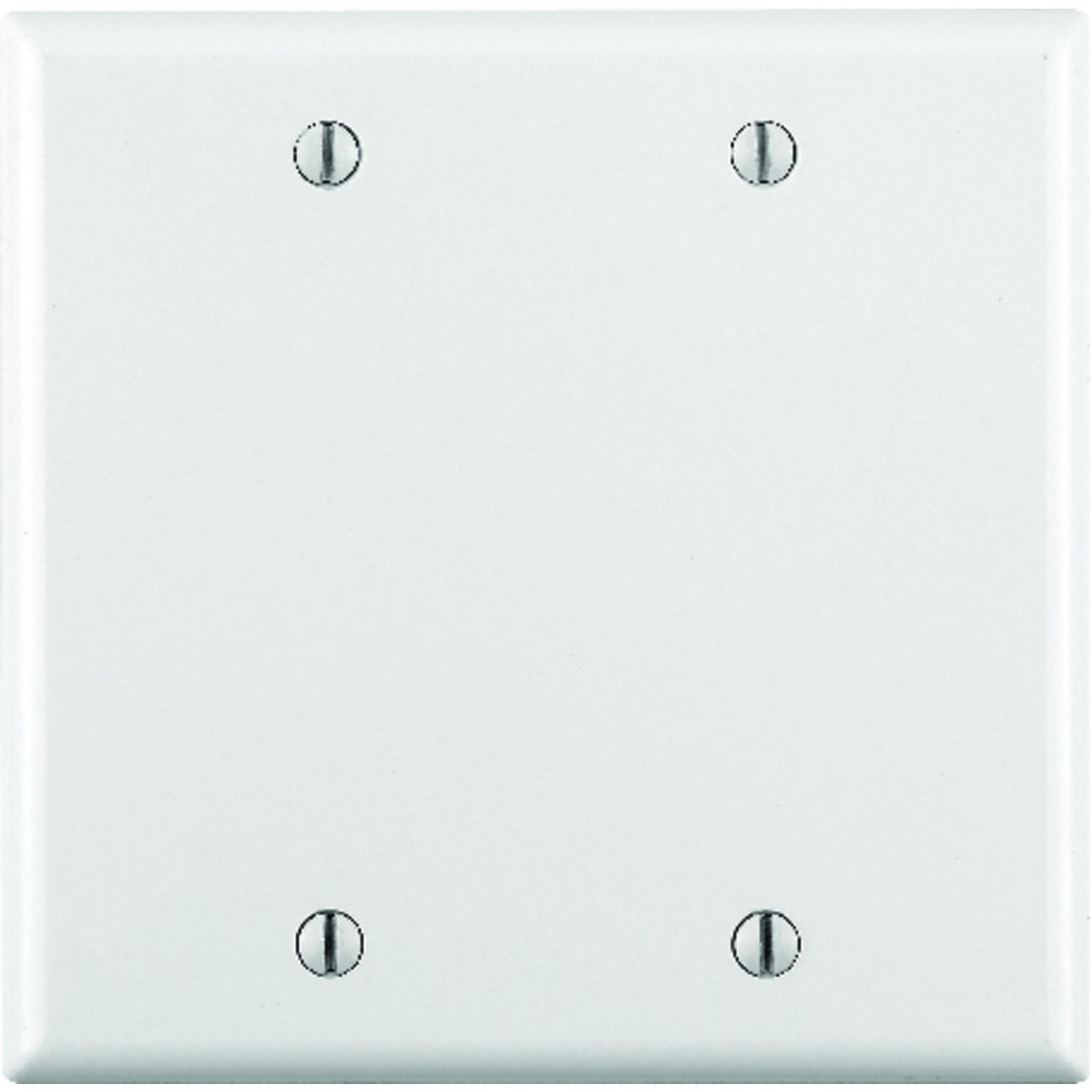 Leviton White 2 gang Plastic Blank Wall Plate 1 pk