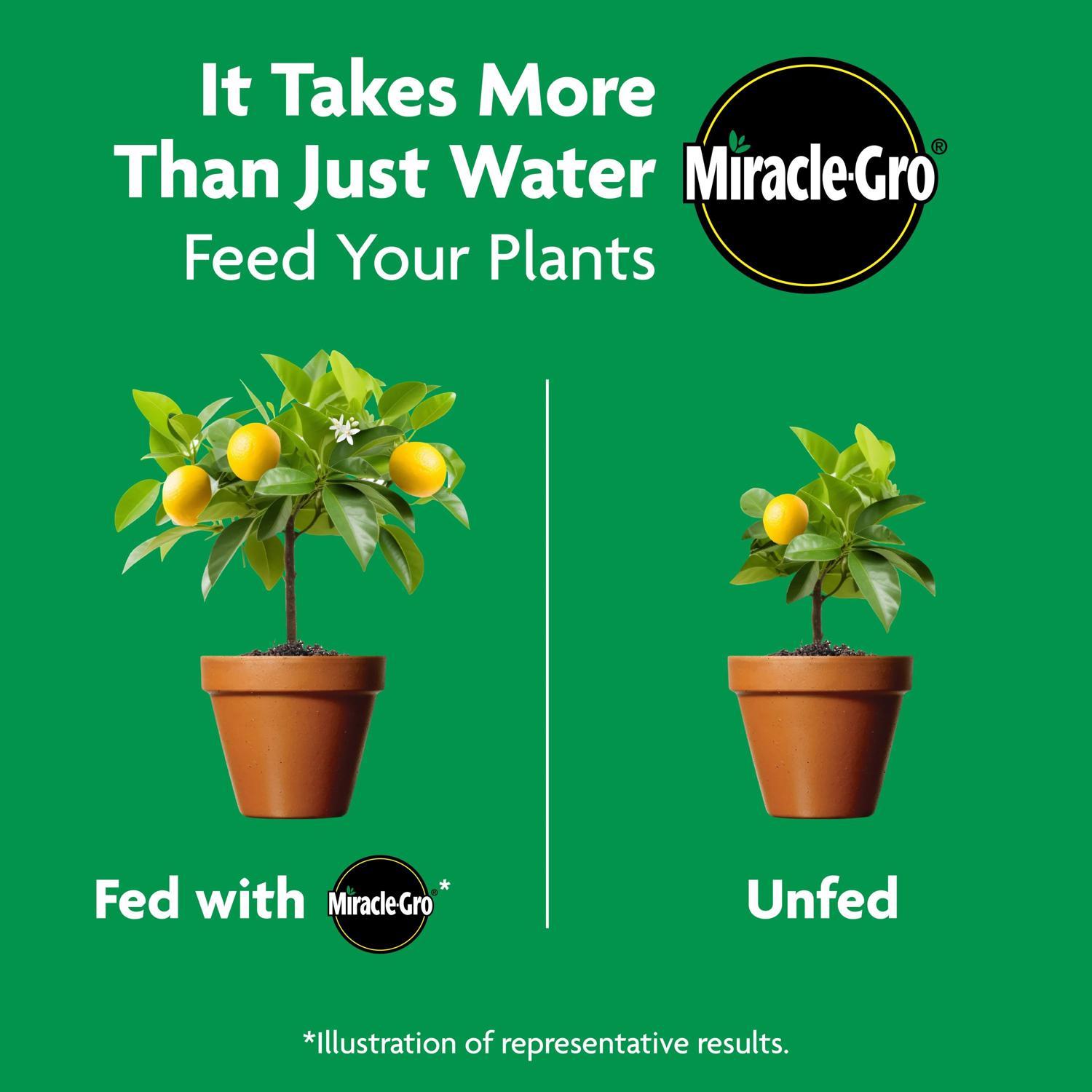 Miracle-Gro Shake 'n Feed Granules Plant Food 4.5 lb
