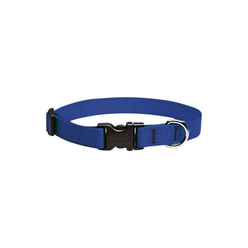 LupinePet Basic Solids Blue Blue Nylon Dog Adjustable Collar