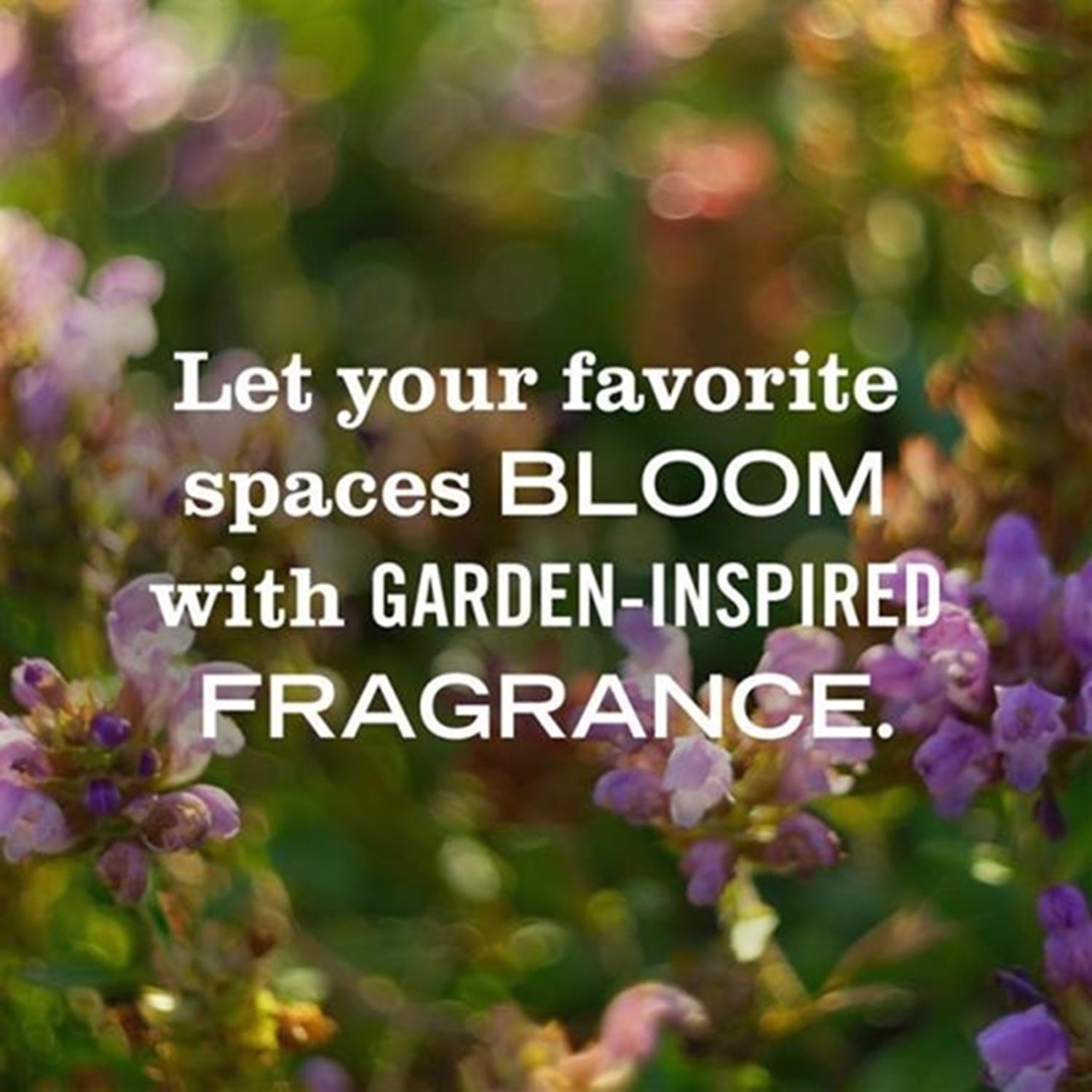 Mrs. Meyer's Clean Day Rain Water Scent Air Freshener Oil Refill 0.67 oz Liquid 2 pk