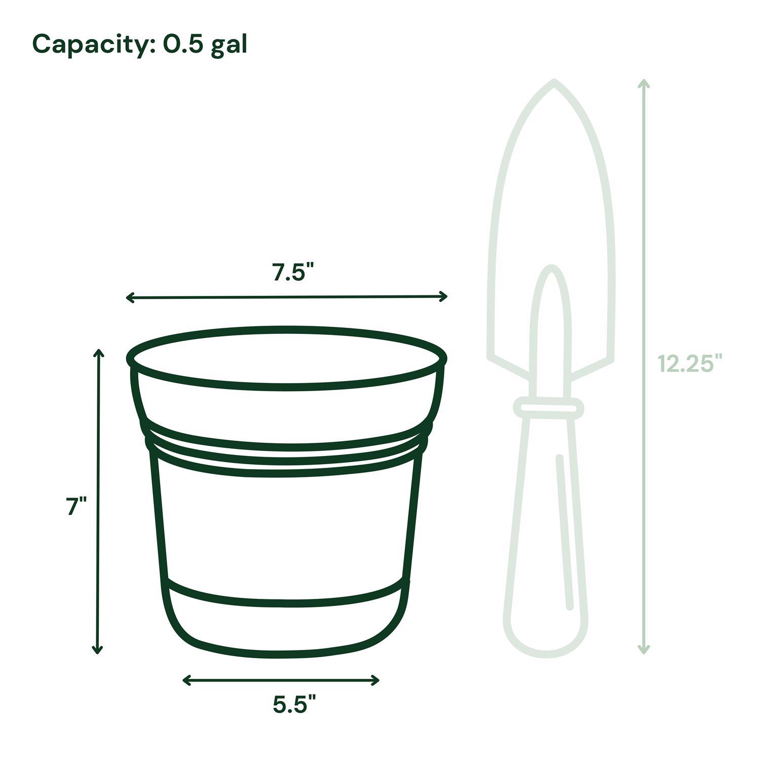 Bloem Saturn 6.5 in. H X 7.25 in. W Polyresin Traditional Planter Charcoal