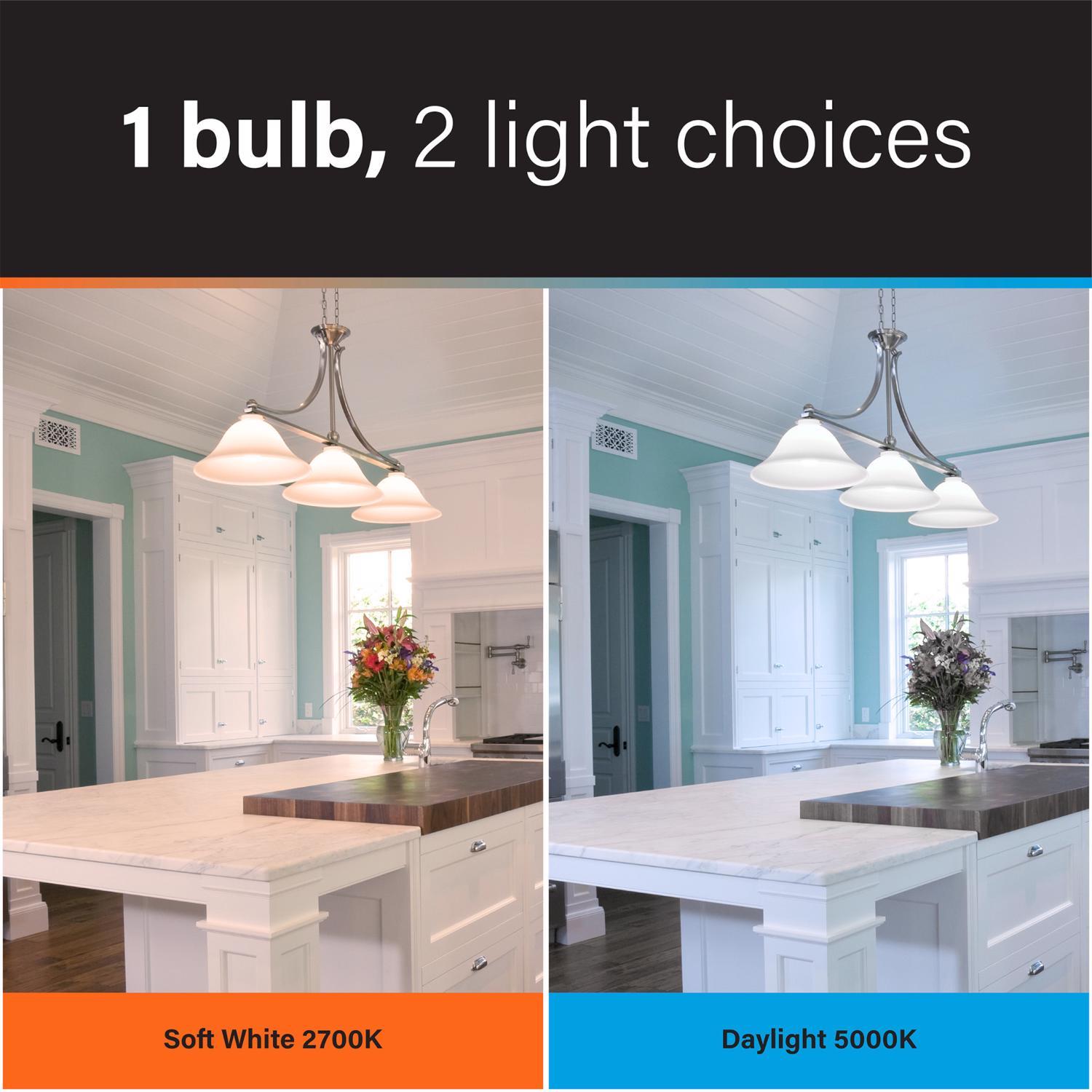 Feit A19 E26 (Medium) LED Bulb Soft White 60 Watt Equivalence 1 pk