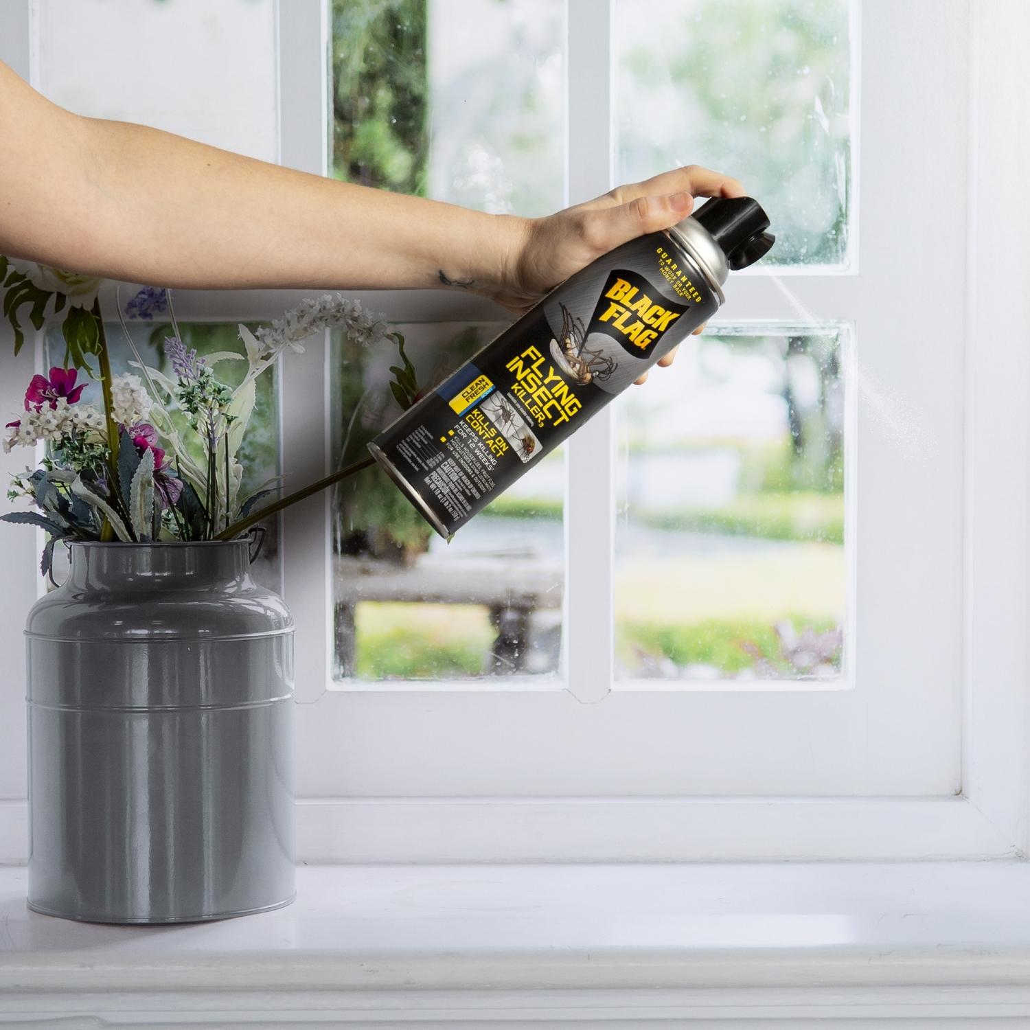 Black Flag Insect Killer Aerosol 18 oz