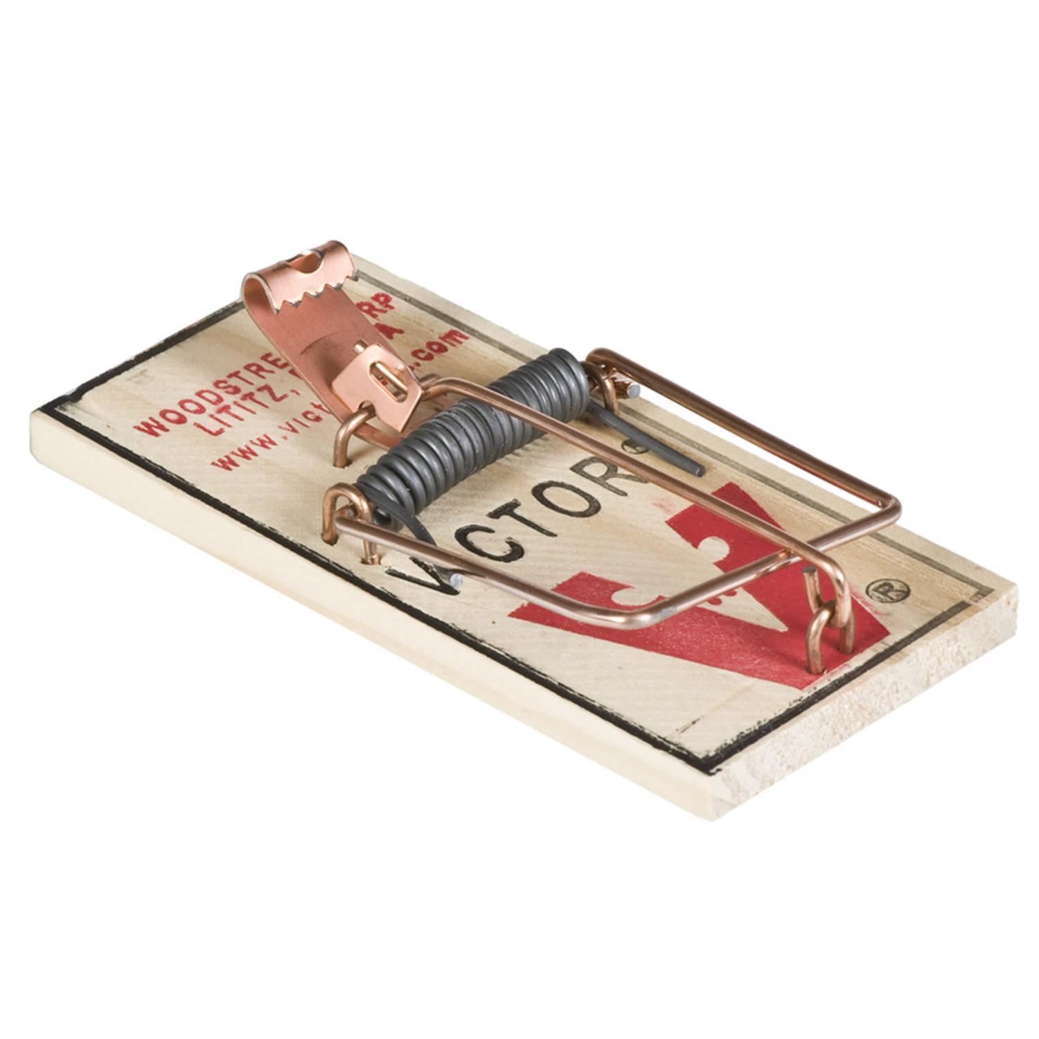 Victor Small Snap Trap For Mice 2 pk