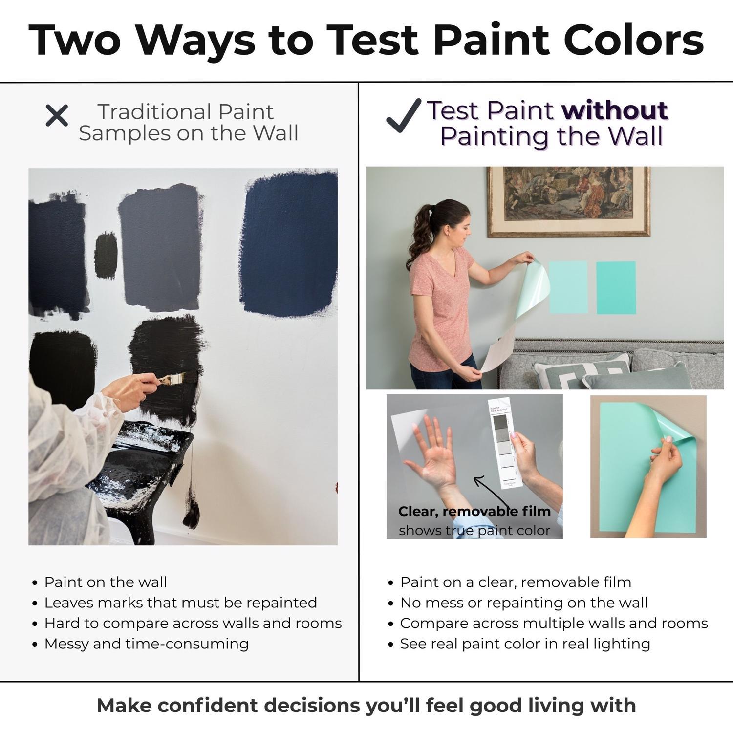 SureSwatch 9 in. W X 12 in. L Clear Plastic Paint & Stick Paint Samples