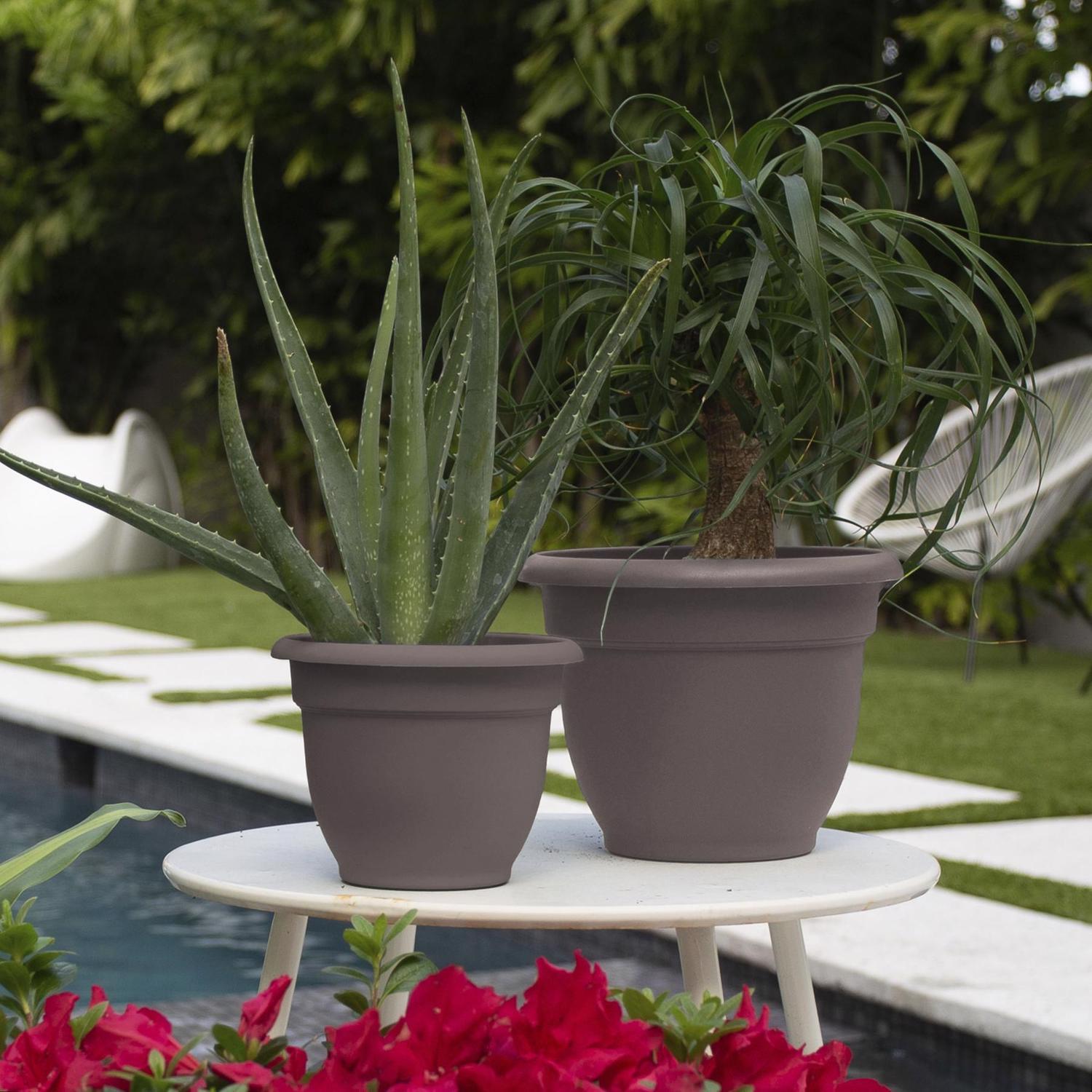 Bloem Ariana 7 in. H X 8.75 in. W X 8 in. D Plastic Traditional Planter Peppercorn