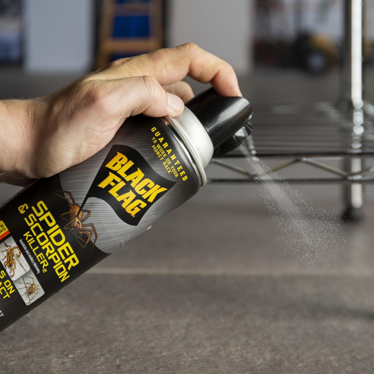 Black Flag Insect Killer Liquid 16 oz