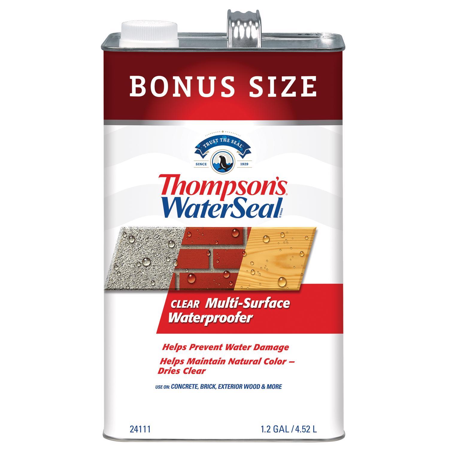 Thompson's WaterSeal Flat Clear Multi-Surface Waterproofer 1.2 gal