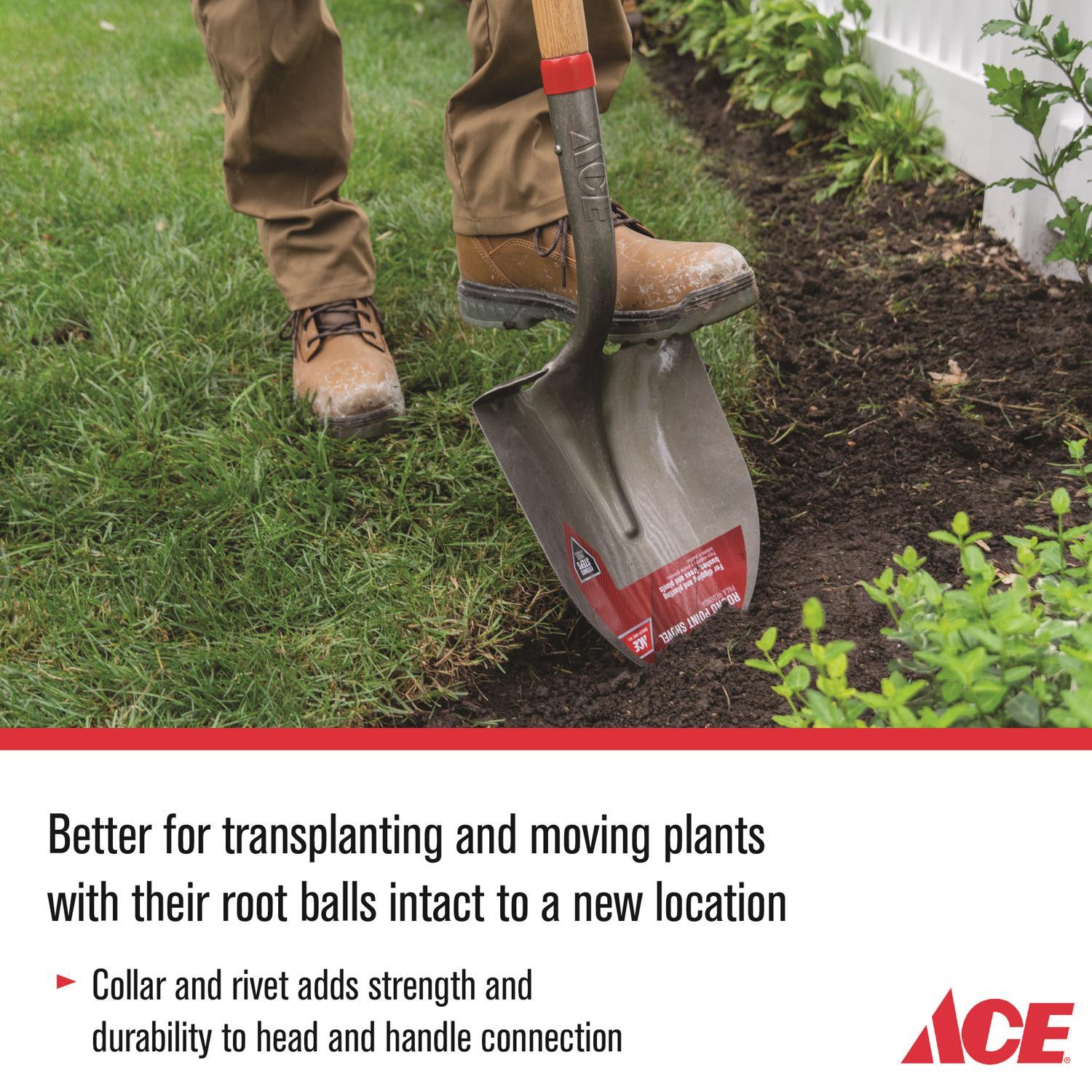 Ace 58 in. Steel Round Digging Shovel Wood Handle