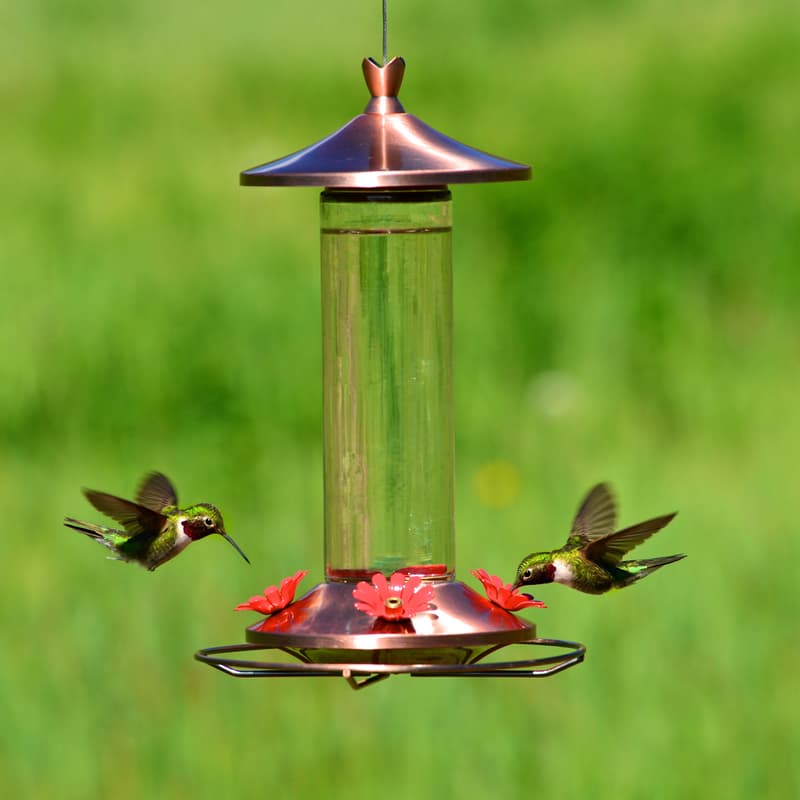 Perky-Pet Hummingbird 12 oz Copper/Glass Nectar Bird Feeder 4 ports