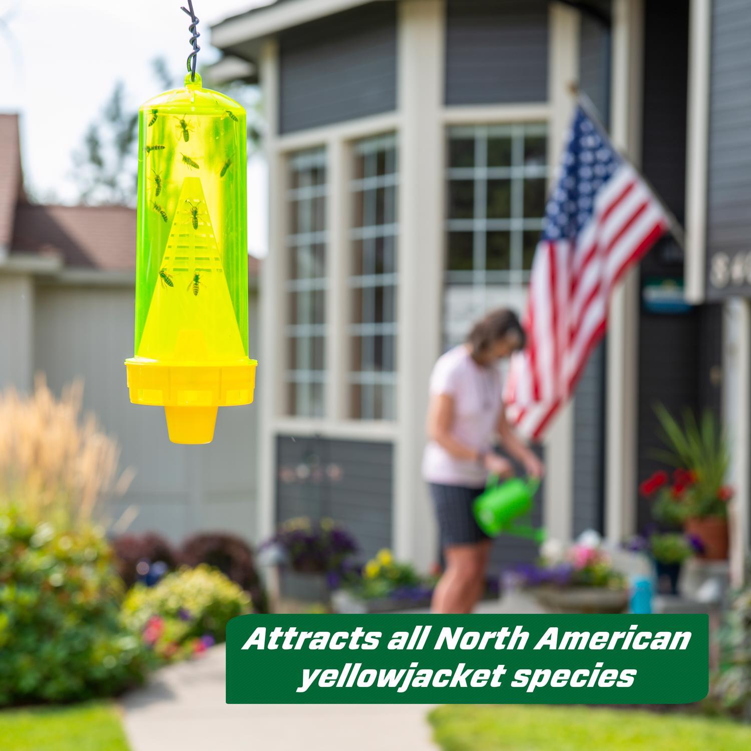 RESCUE Yellow Jacket Trap