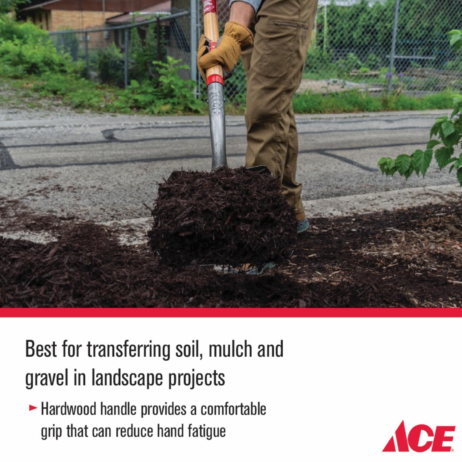 Ace 57.75 in. Steel Square Transfer Shovel Wood Handle