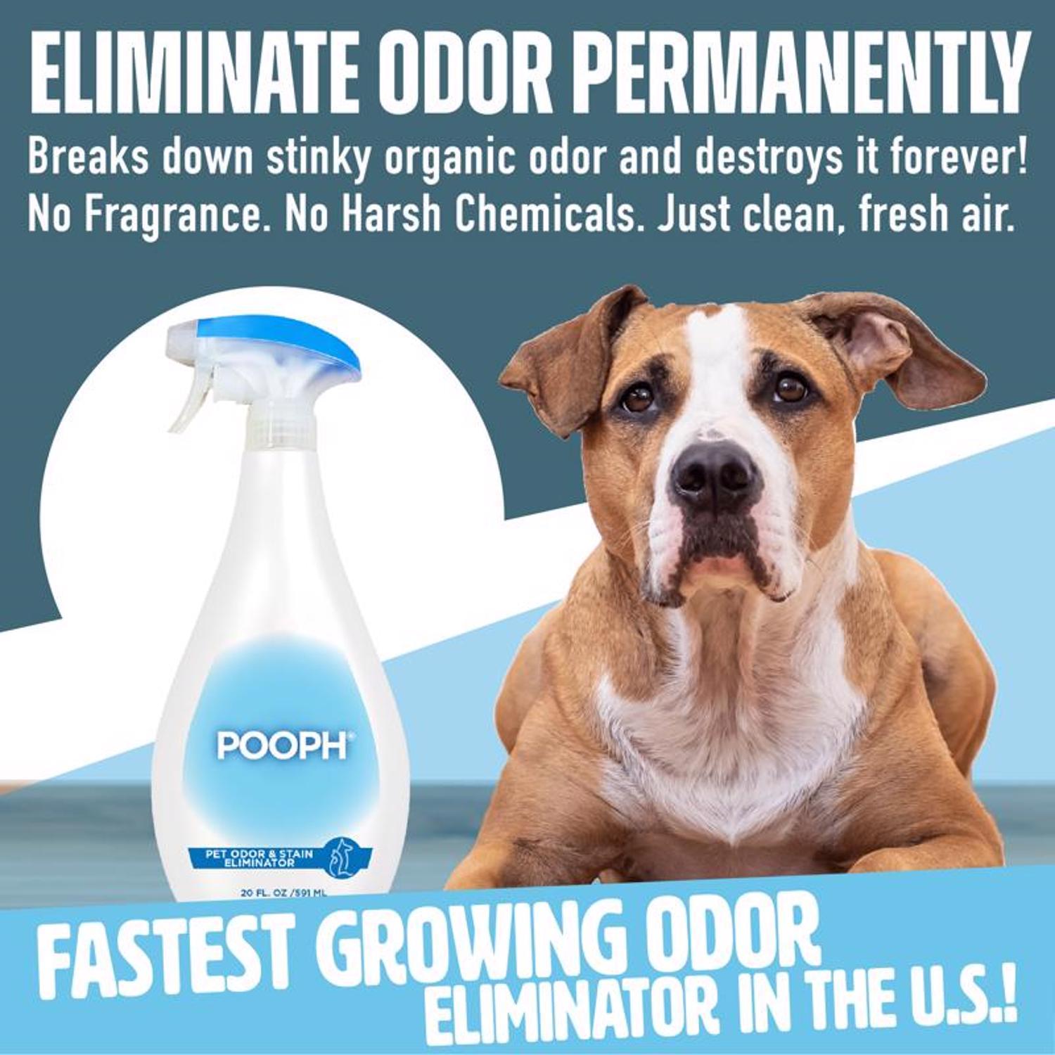 Pooph Pets Liquid Odor & Stain Eliminator 20 oz