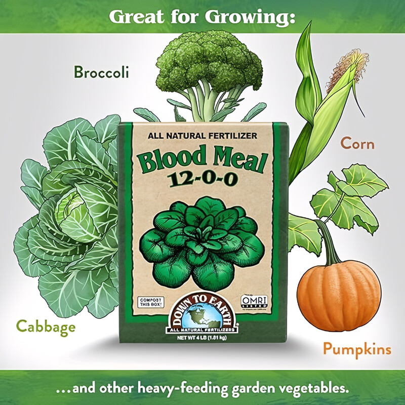Down To Earth All Natural Fertilizers Organic Blood Meal - High Nitrogen Plant Food for Green Growth 12-0-0, 4 lb