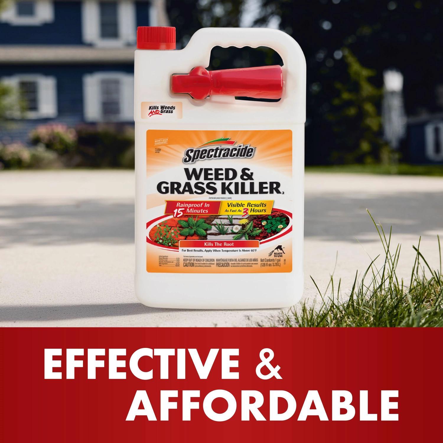 Spectracide Weed and Grass Killer RTU Liquid 1 gal