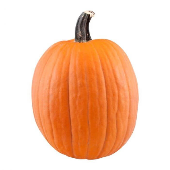 Large Pumpkin