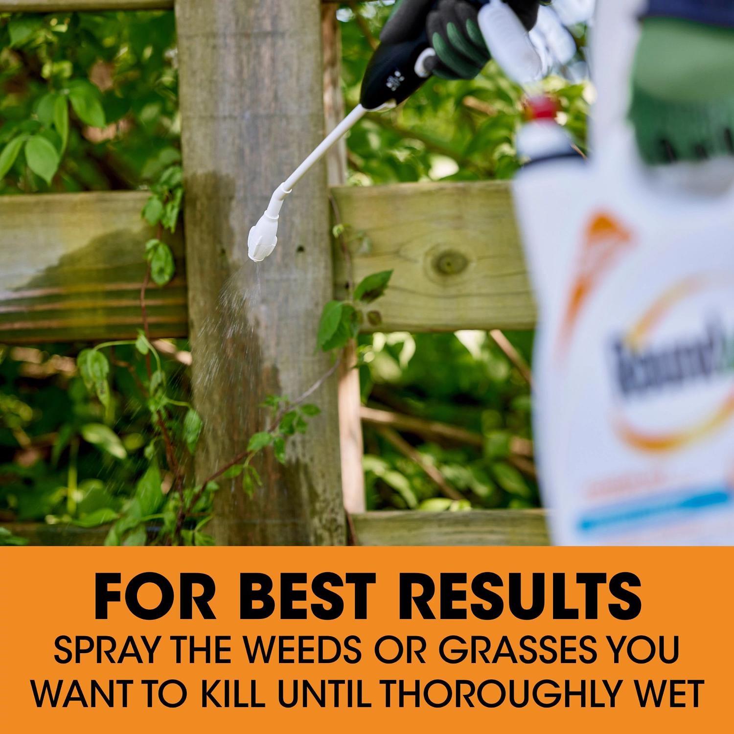 Roundup Poison Ivy Killer RTU Liquid 1 gal