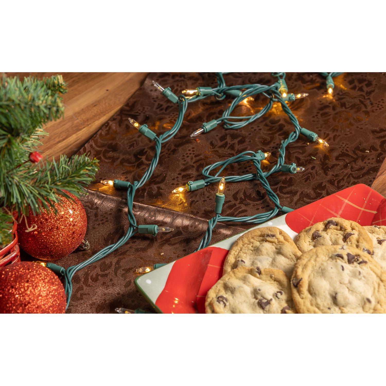 Celebrations LED T5 Warm White 50 ct String Christmas Lights