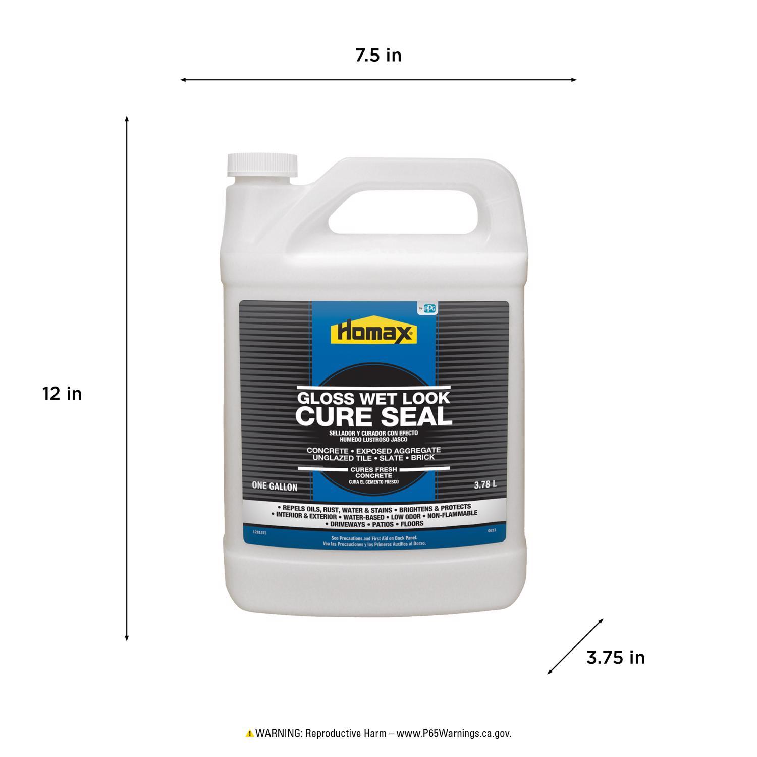 Homax Cure Seal Gloss Clear Water-Based Sealer 1 gal