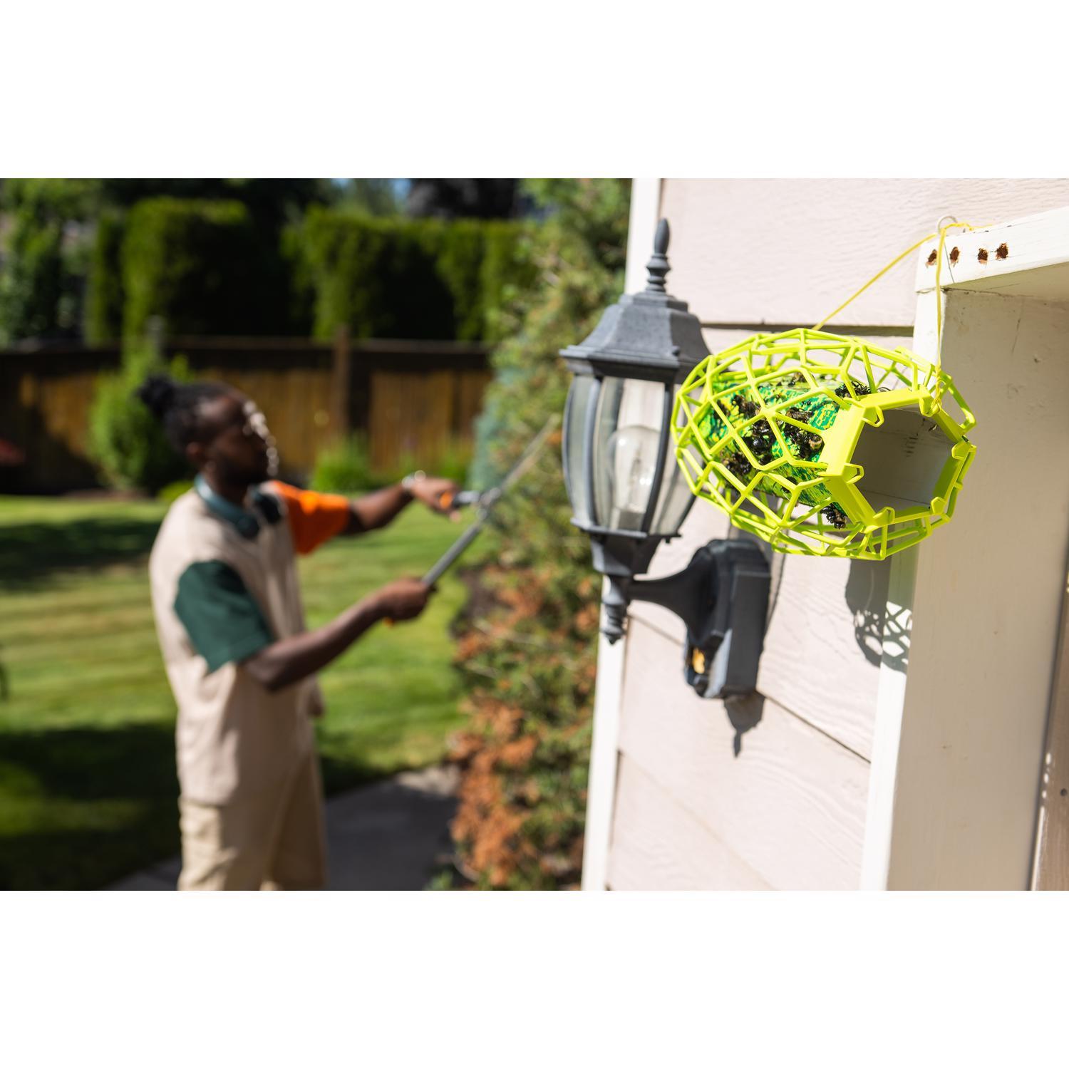 RESCUE TrapStik Insect Trap 1 pk