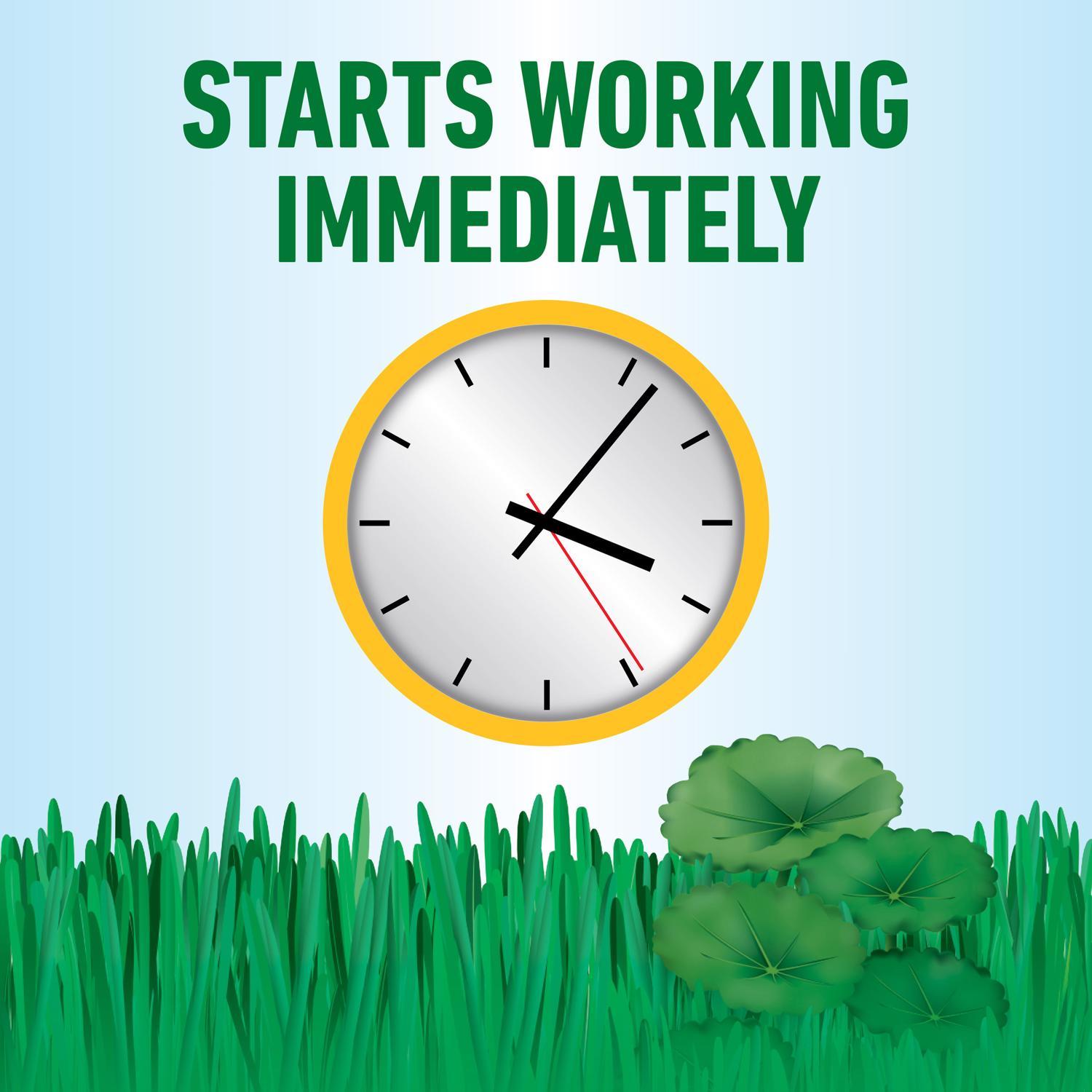 Roundup Weed Killer Concentrate 32 oz