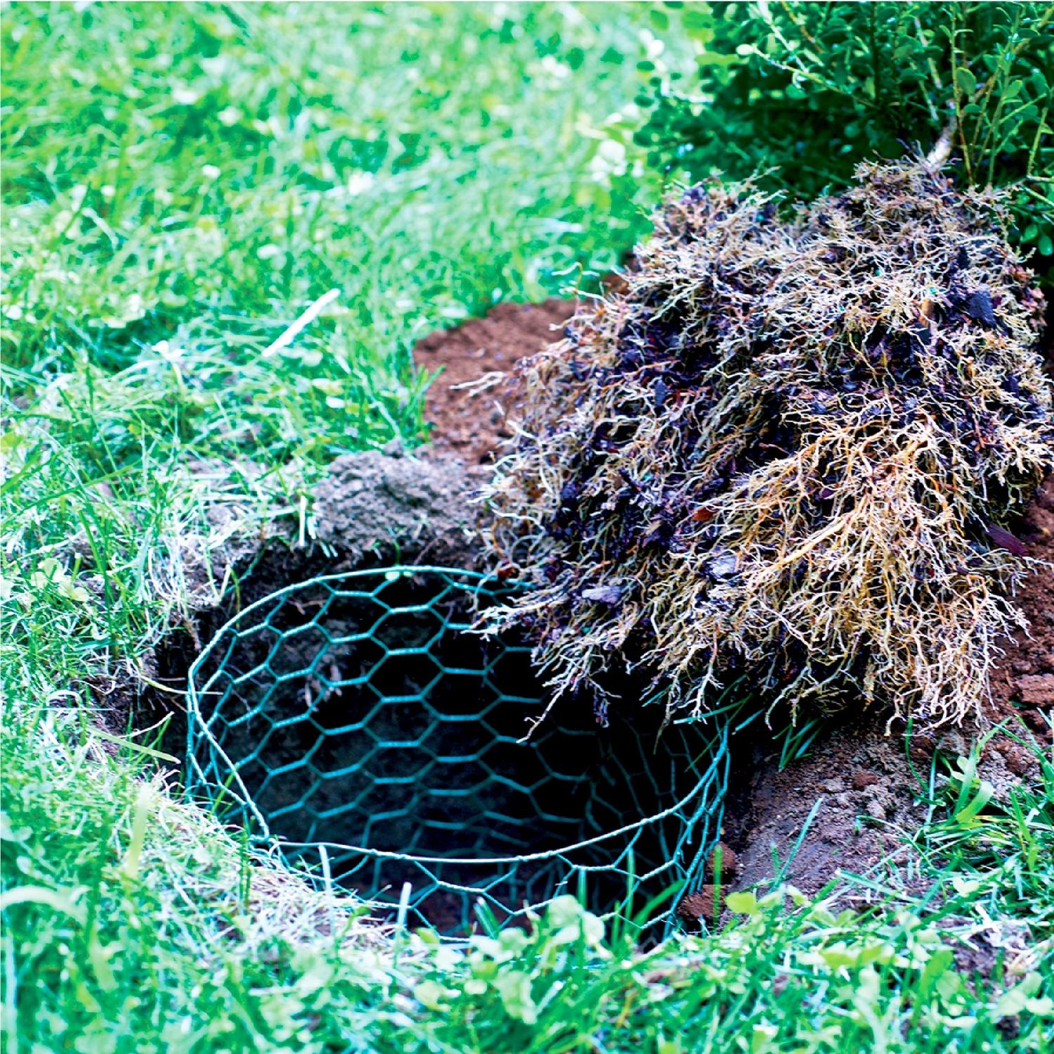 Garden Craft 24 in. H X 25 ft. L Steel Poultry Netting 1 in.