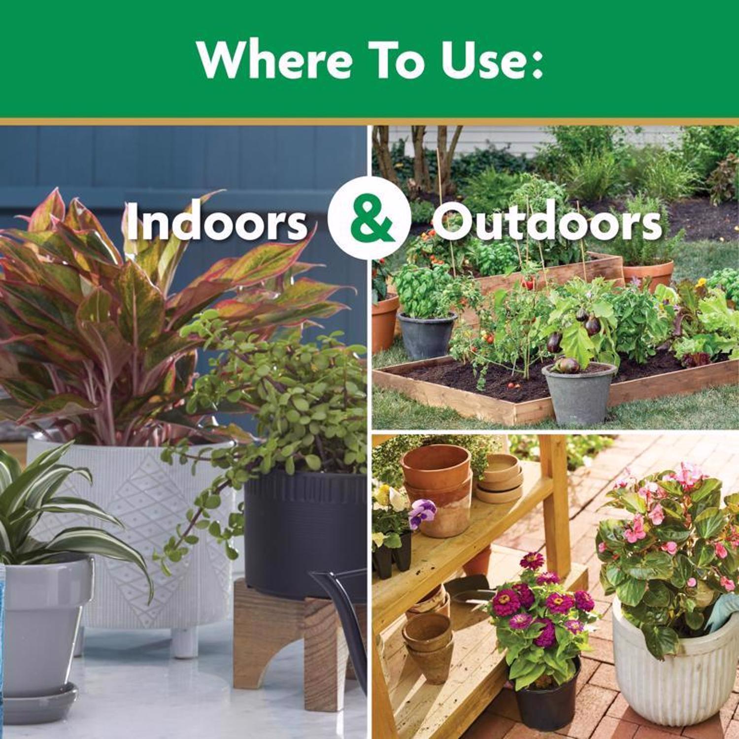 Miracle-Gro Granules Plant Food 10 lb