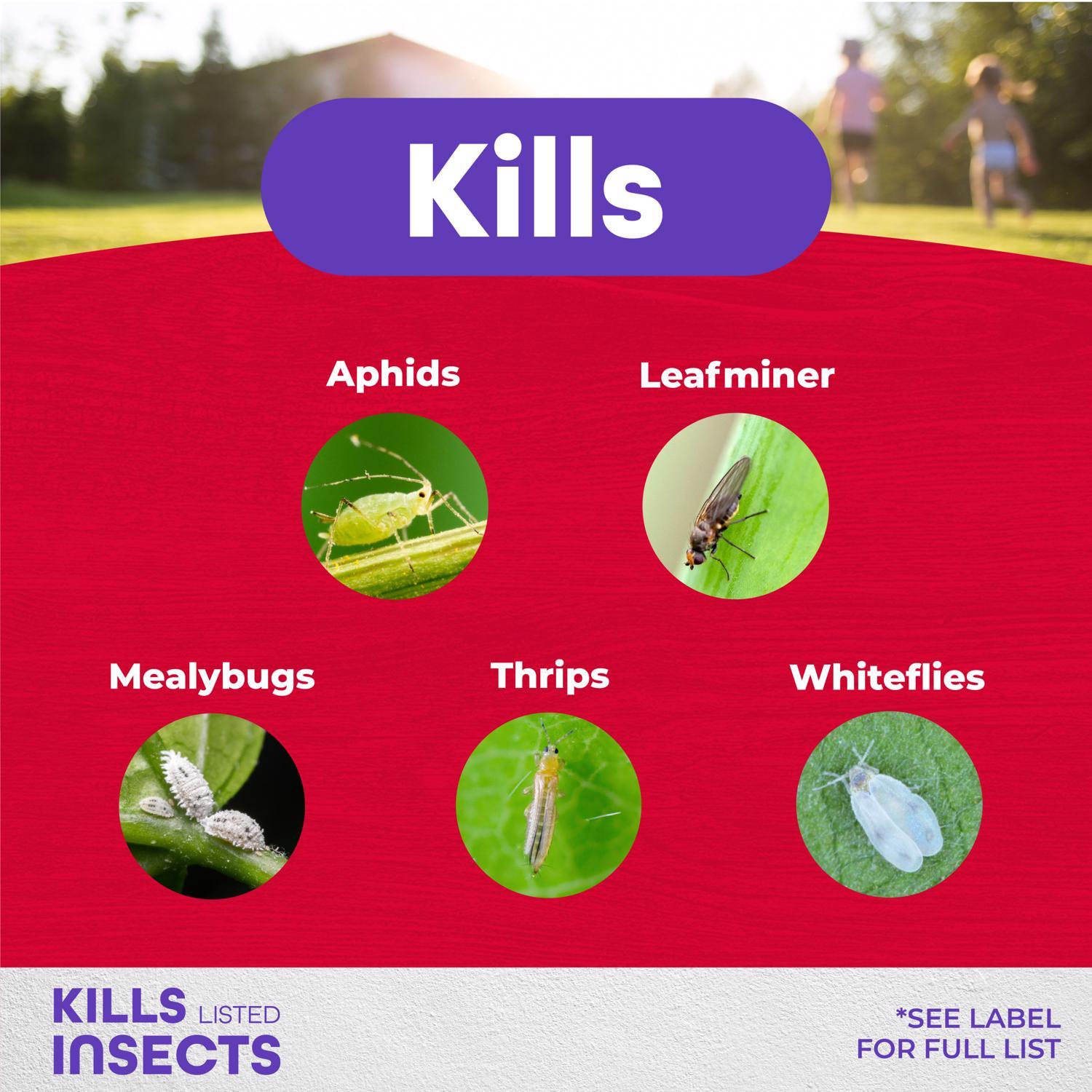 Bonide Systemic Houseplant Insect Killer Granules 8 oz