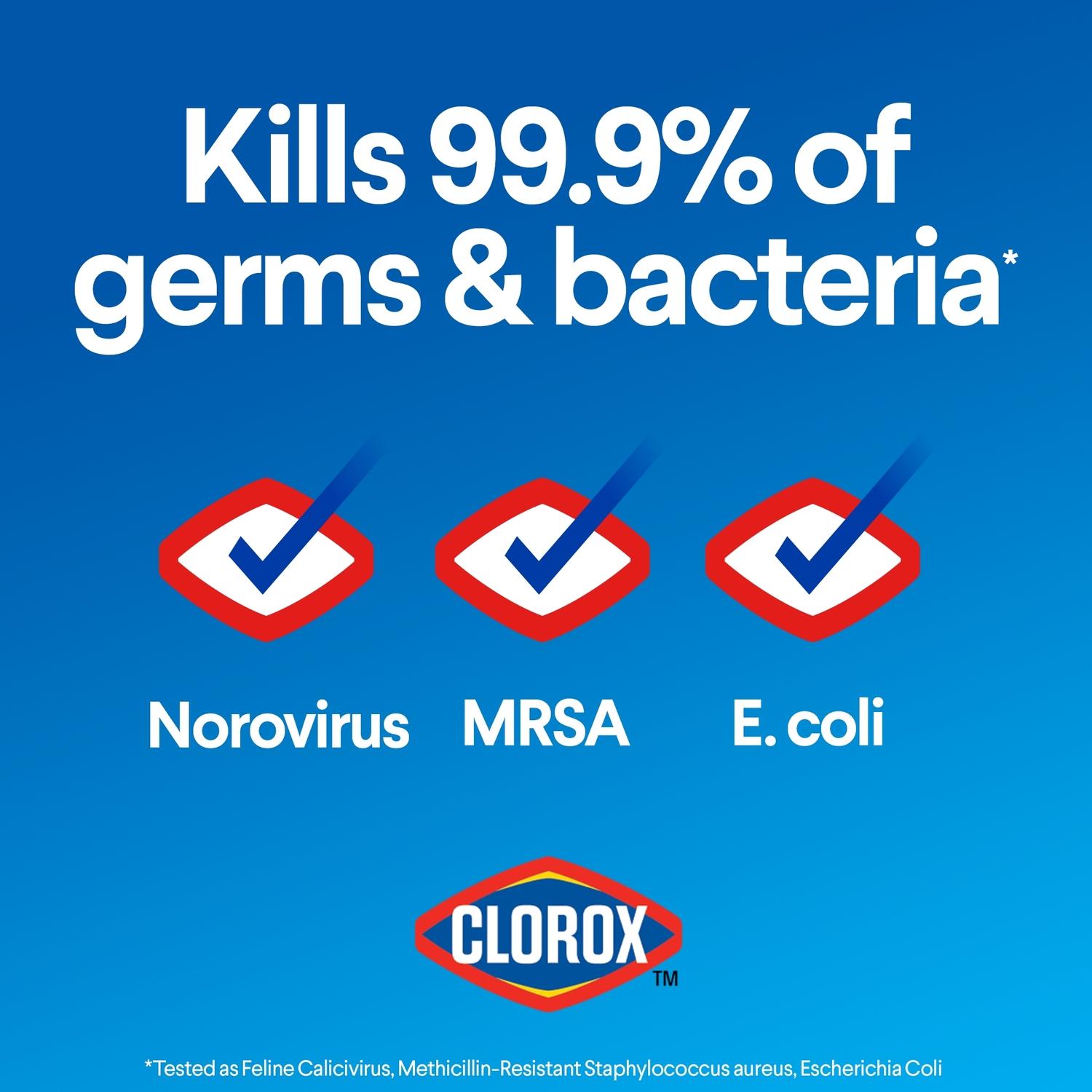 Clorox Regular Scent Disinfecting Bleach 43 oz