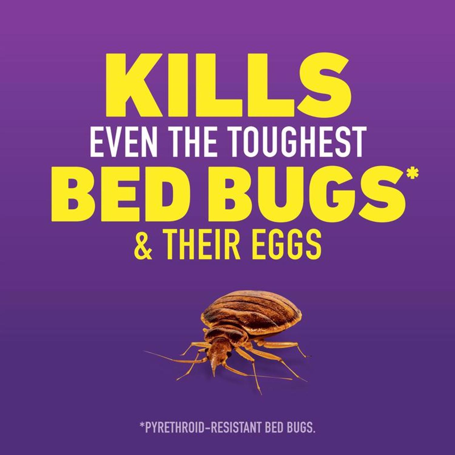 Ortho Home Defense Max Bed Bug Killer Liquid 1 gal