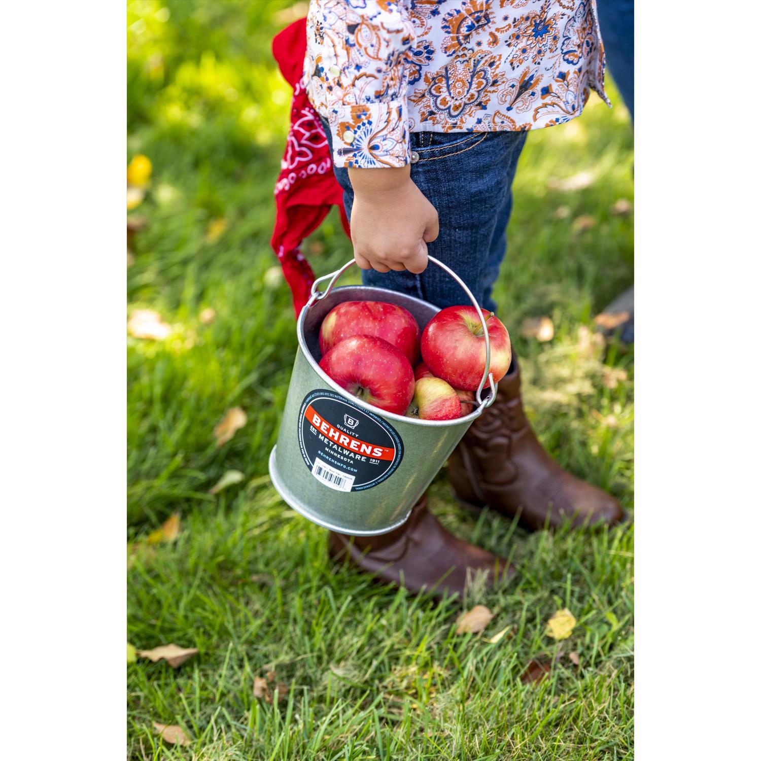 Behrens 5 qt Galvanized Pail Silver