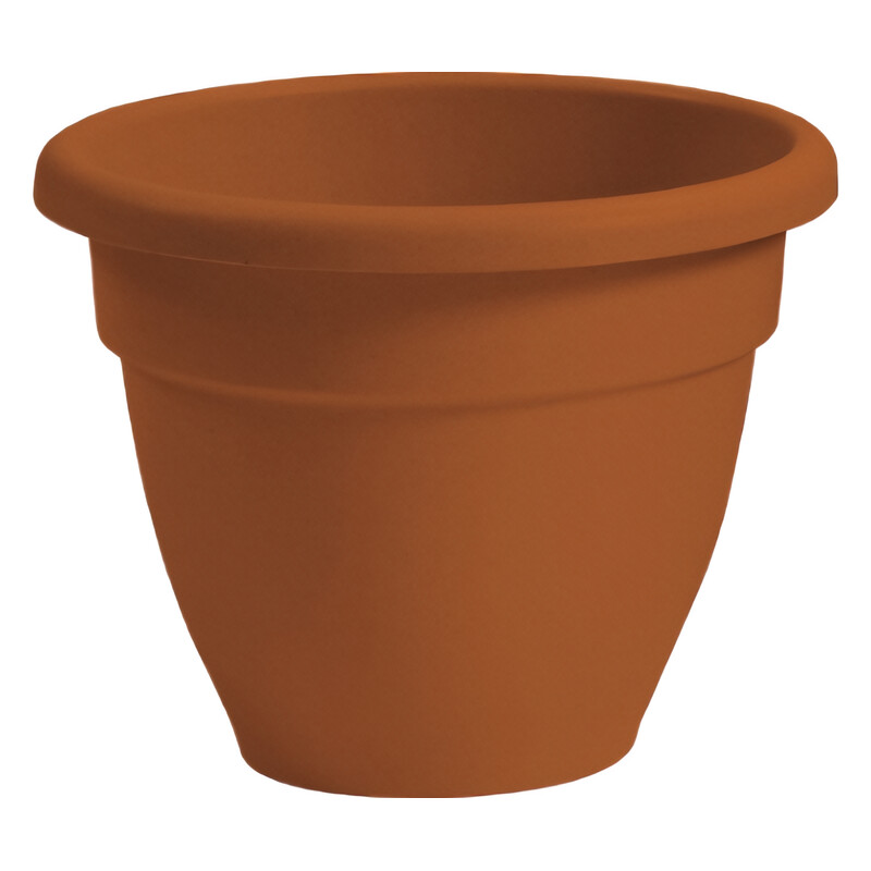 The HC Companies Caribbean Pots - Clay (6 in. dia.)