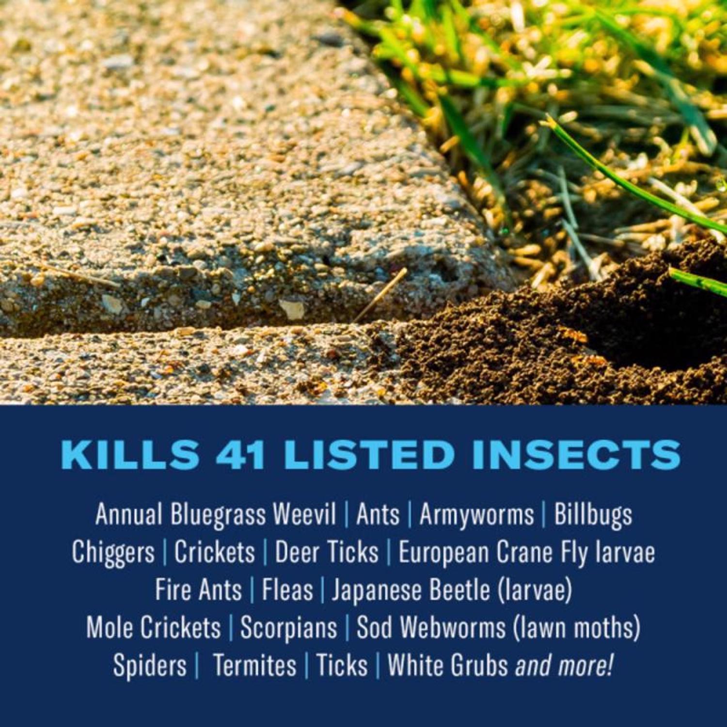 BioAdvanced Complete Insect Killer for Soil & Turf Granules 10 lb