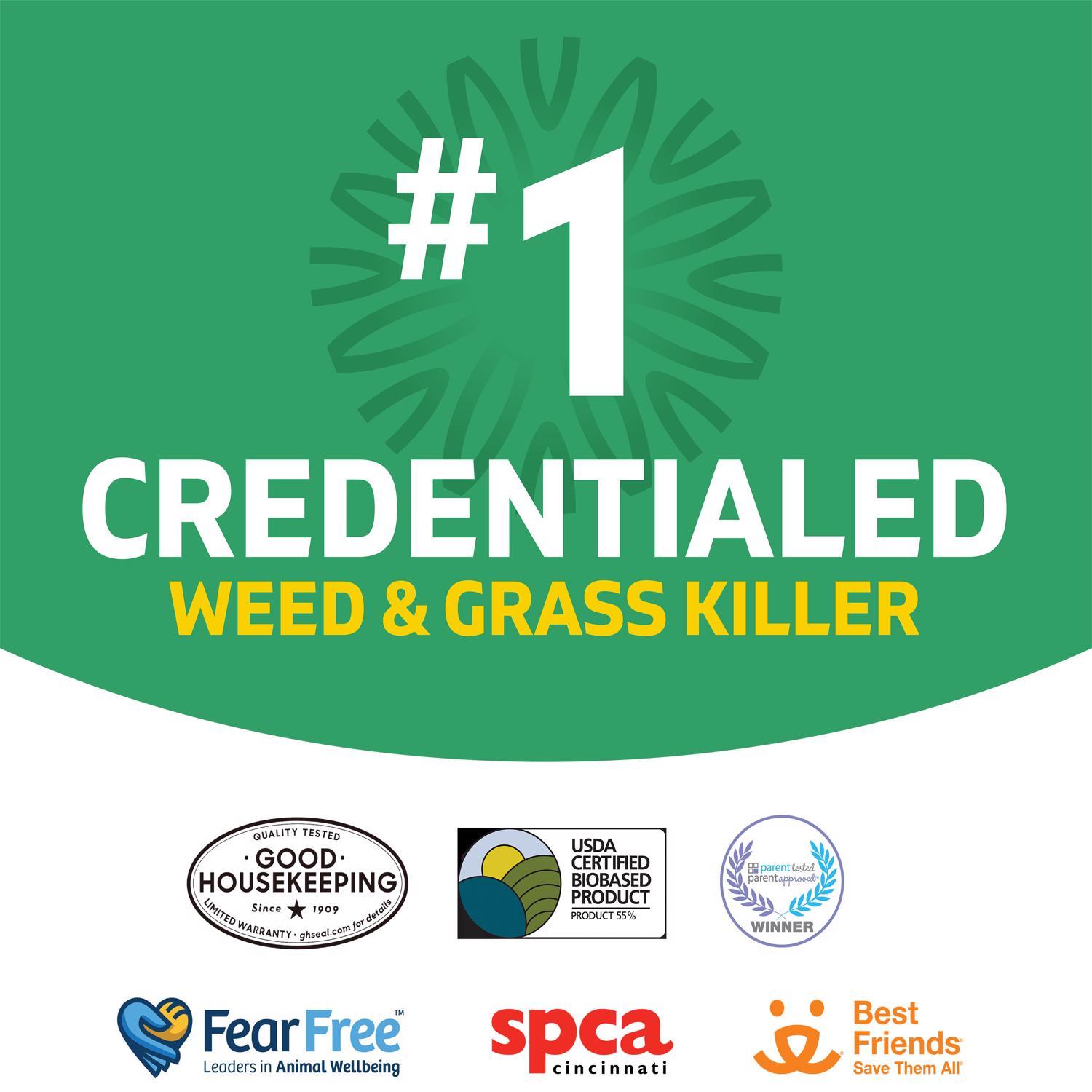 Spruce EZ Aim Weed and Grass Weed and Vegetation Killers RTU Liquid 10 oz