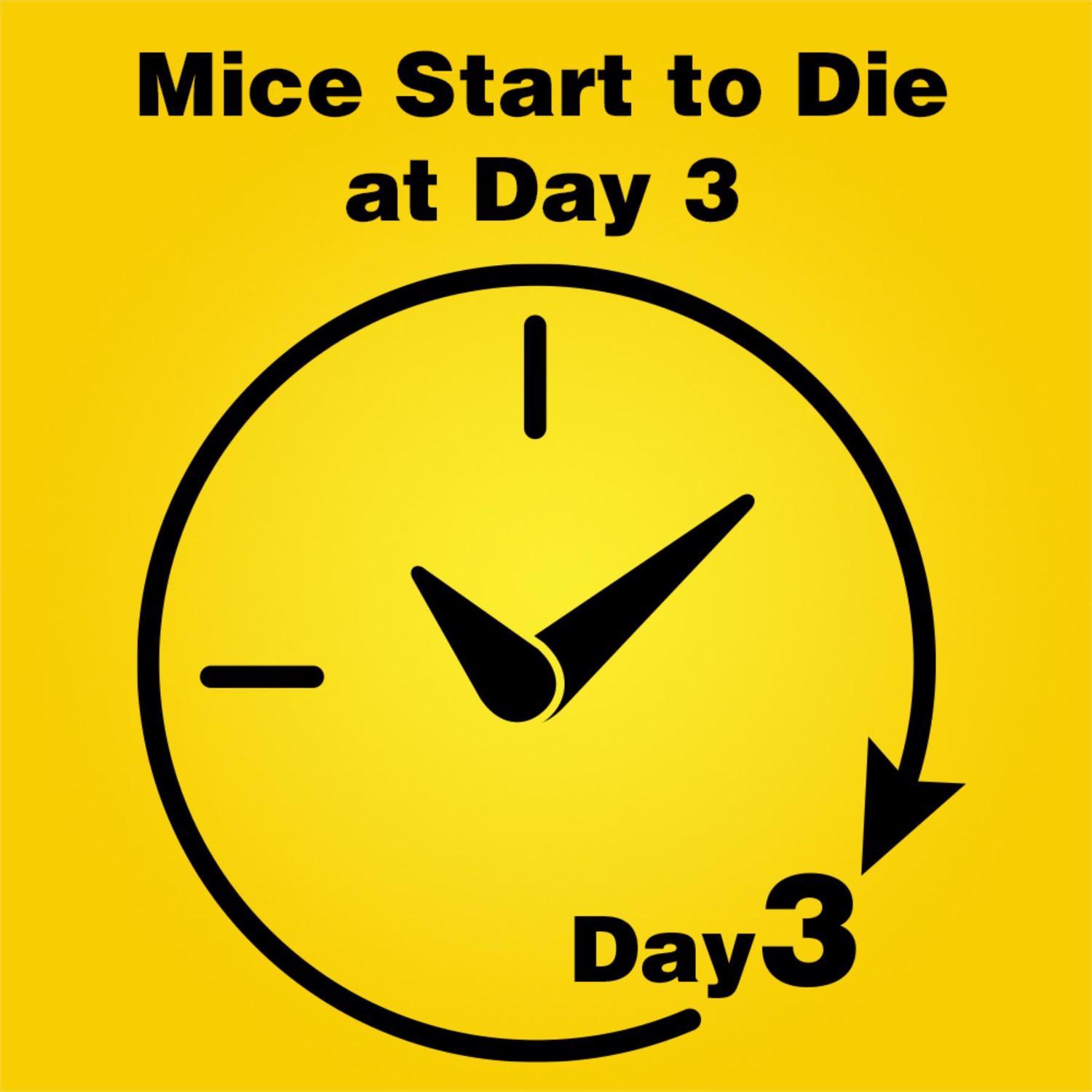 d-CON Bait Station Blocks For Mice