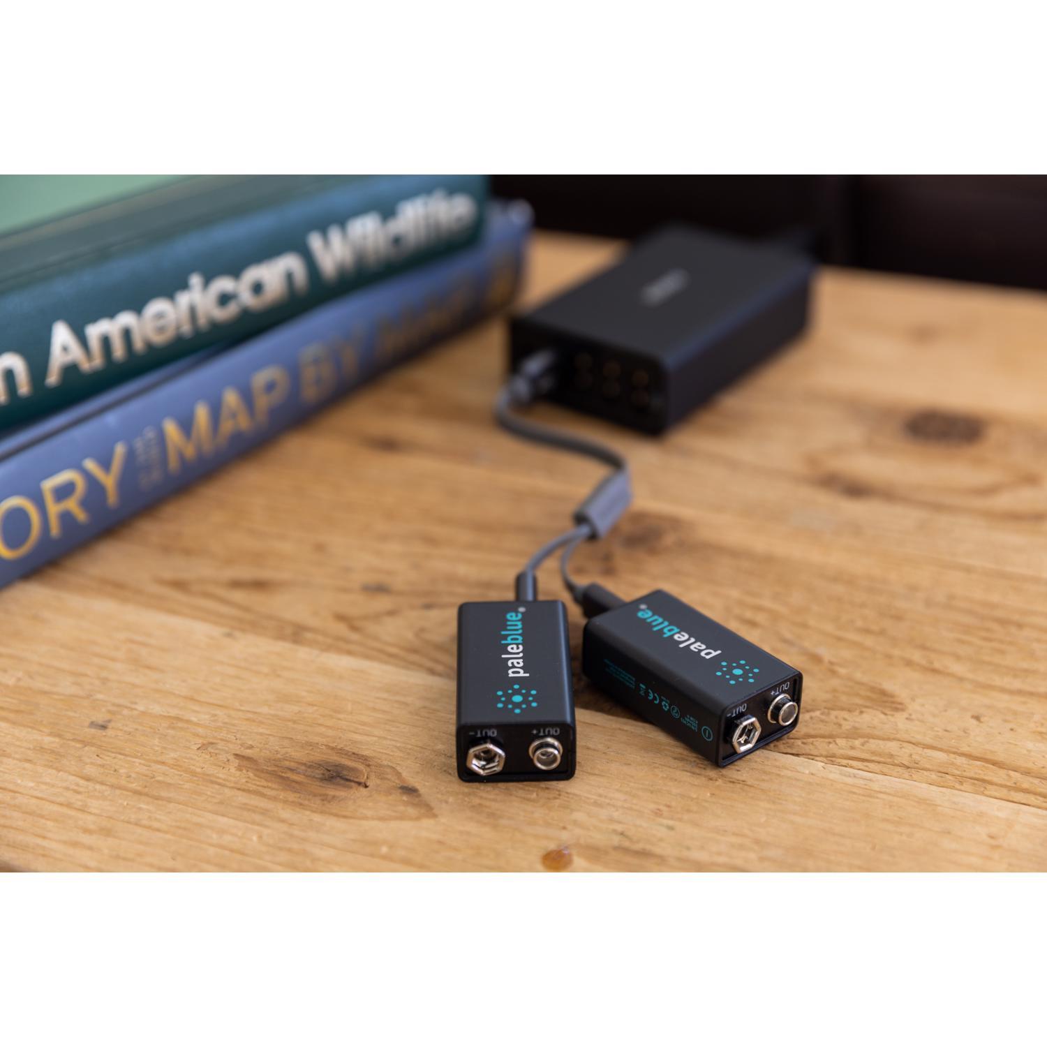 Pale Blue Earth 9-Volt Lithium Batteries 2 pk Clamshell
