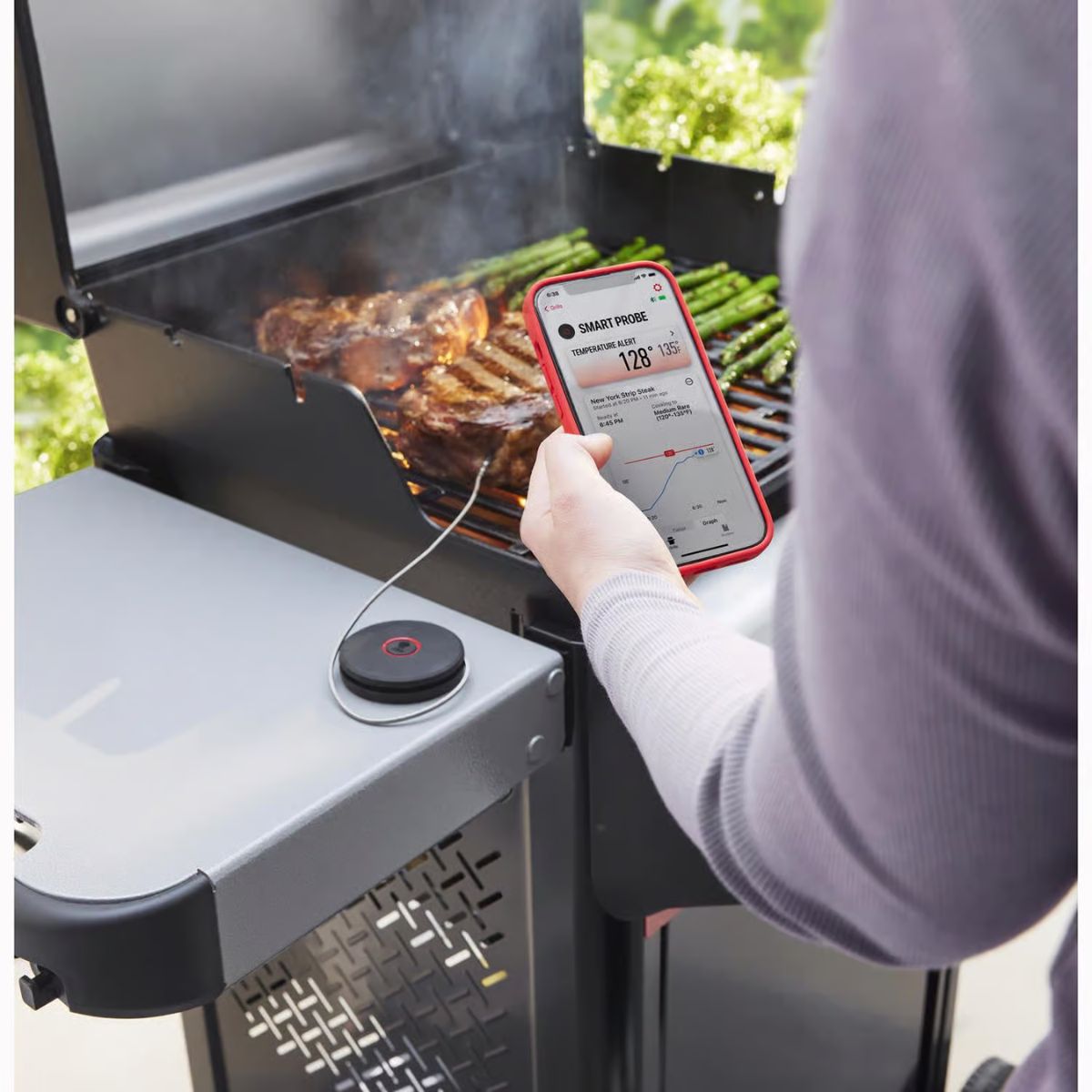 Weber Smart Probe and Grate Sensor WiFi Enabled Bluetooth Enabled Probe Thermometer