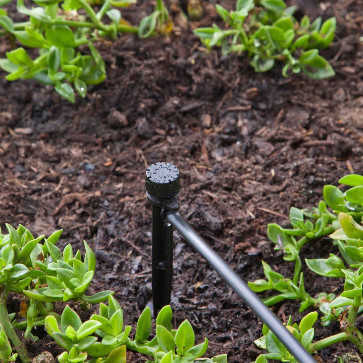 Raindrip Full-Circle Drip Irrigation Bubbler 13 gph 1 Pack
