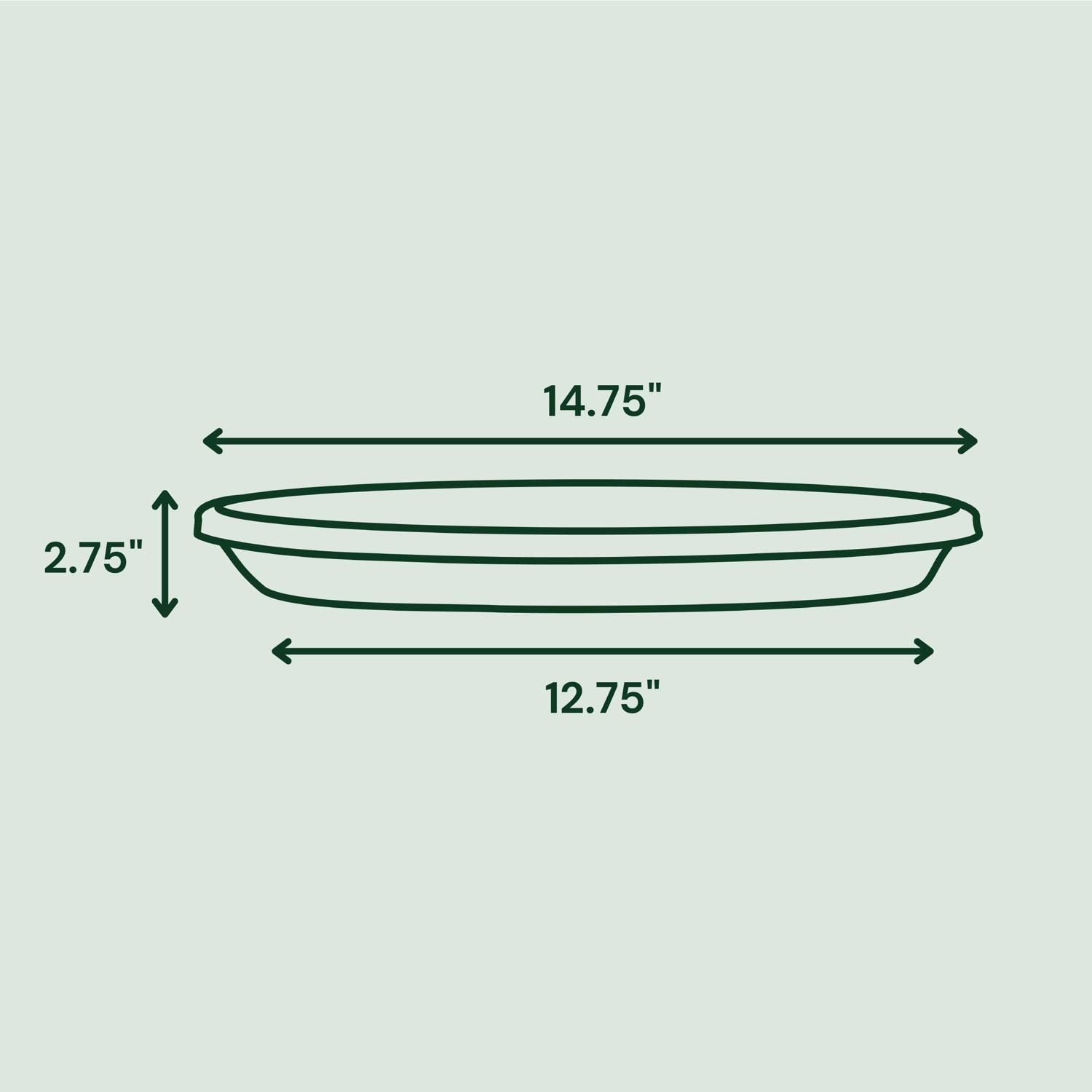 Bloem Terra 2.75 in. H X 14.75 in. W X 12.75 in. D Resin Traditional Plant Saucer Living Green