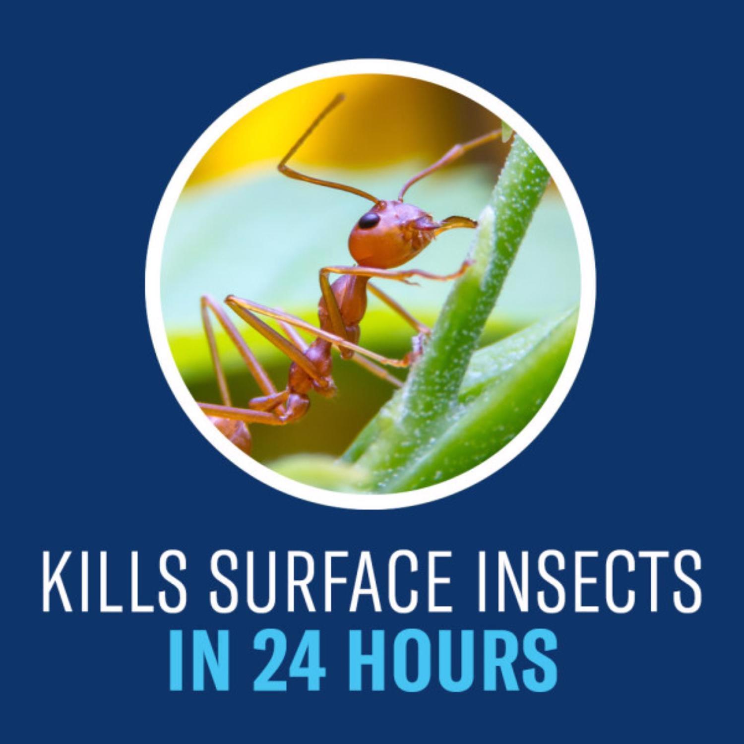 BioAdvanced Complete Insect Killer for Soil & Turf Concentrate 40 oz