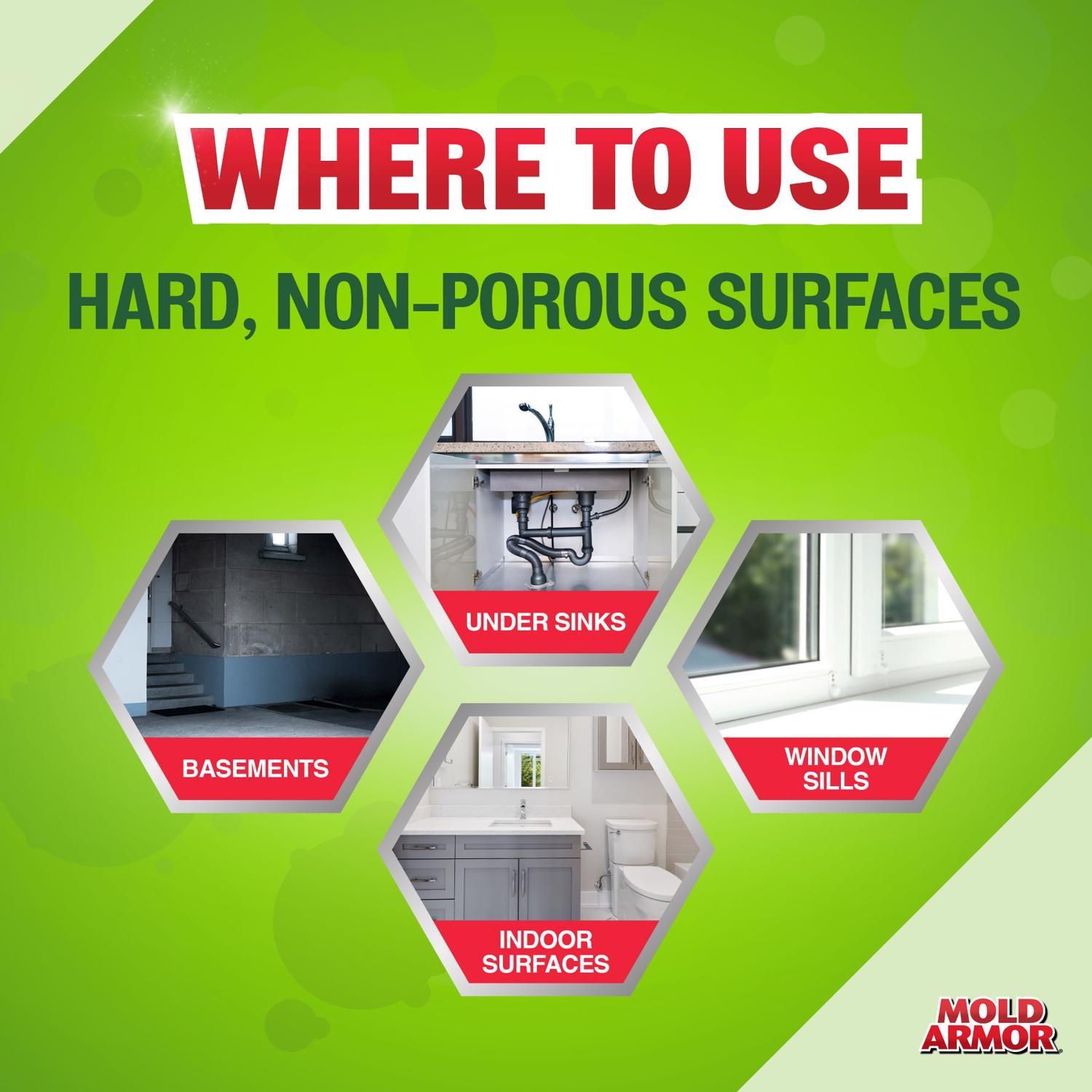 Mold Armor Mold and Mildew Remover 1 gal