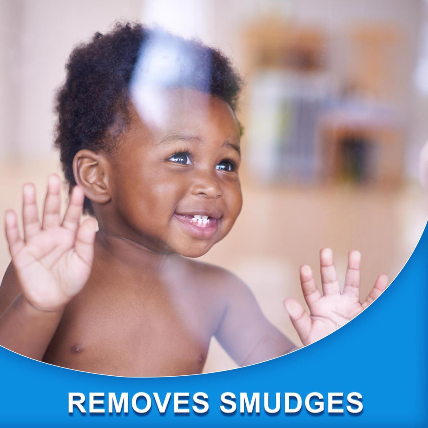 Glass Plus Spring Waterfall Scent Glass Cleaner 32 oz Liquid