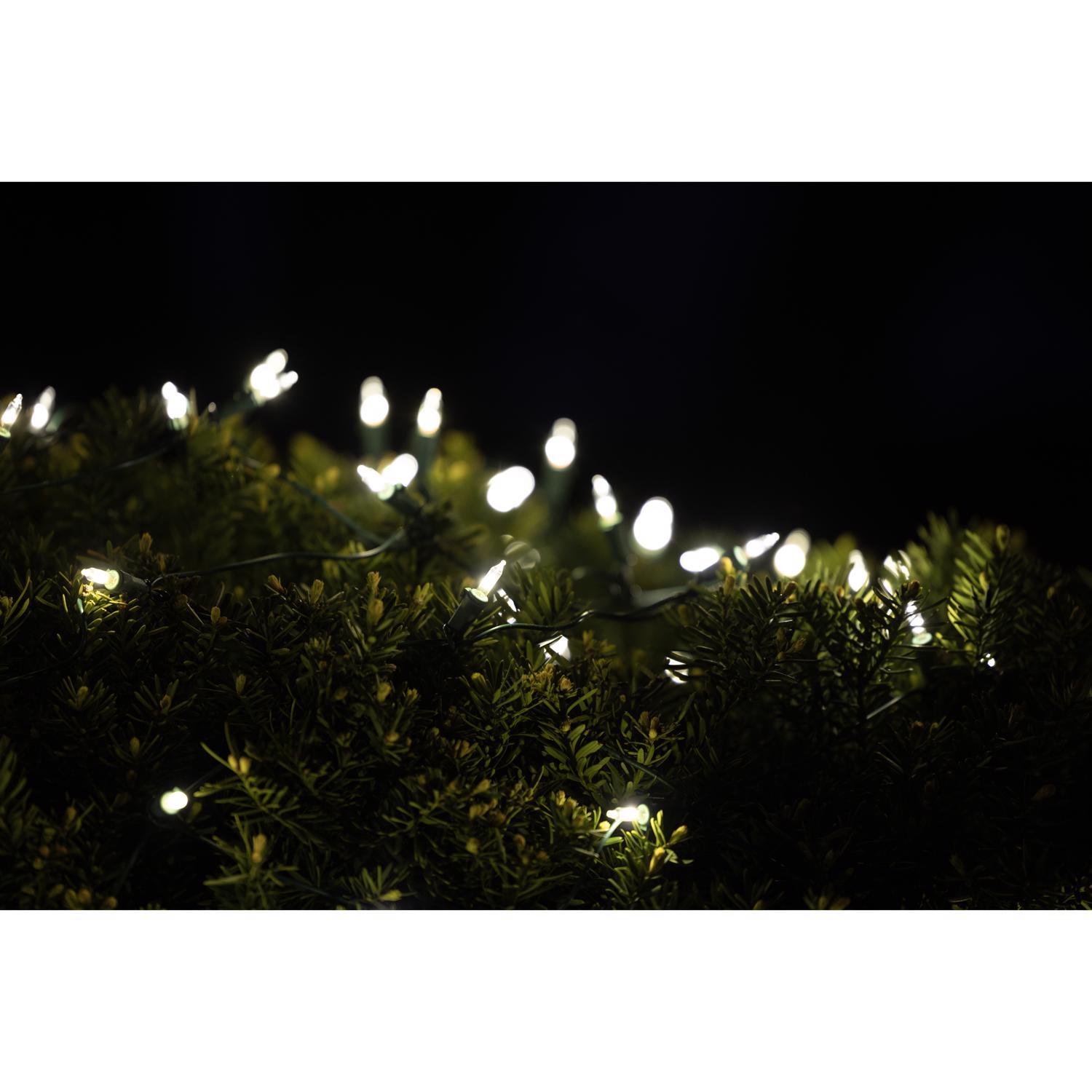Celebrations Classic LED T5 Pure White 100 ct Net Christmas Lights 4 ft.