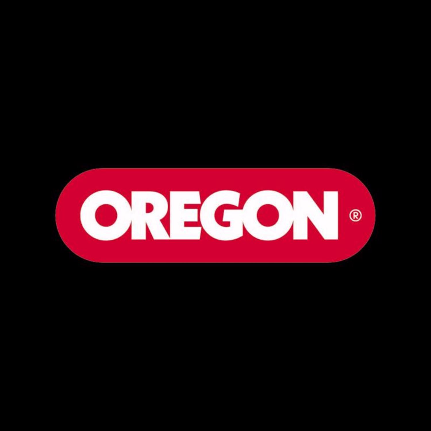 Oregon Chainsaw File and Guide