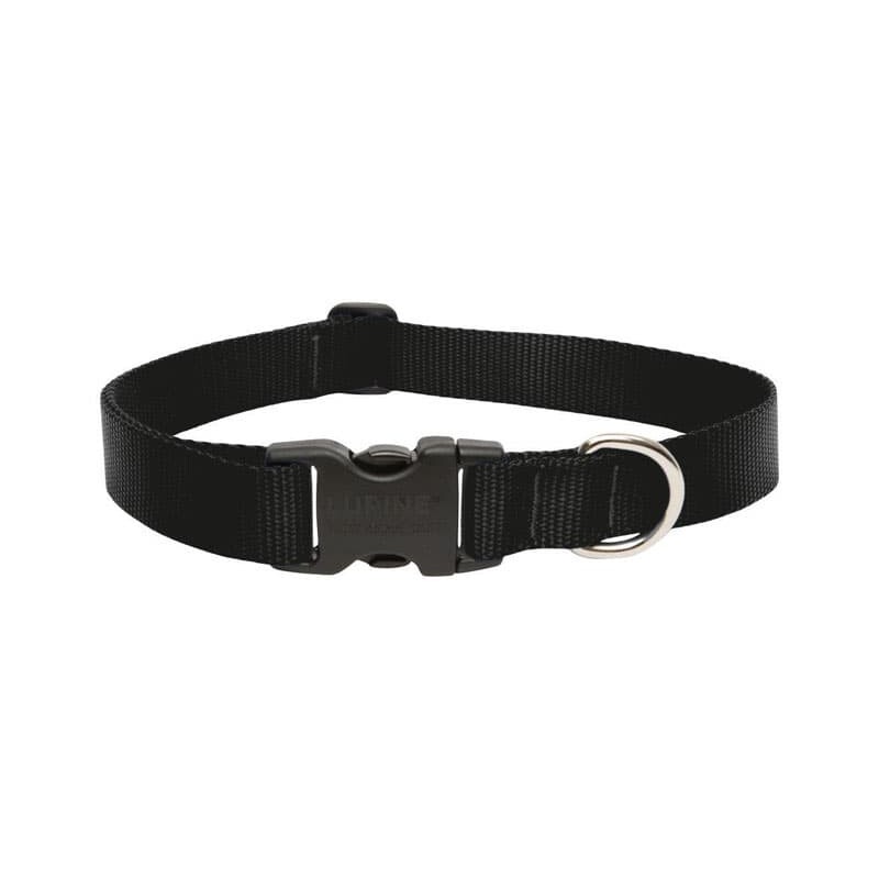 LupinePet Basic Solids Black Black Nylon Dog Adjustable Collar