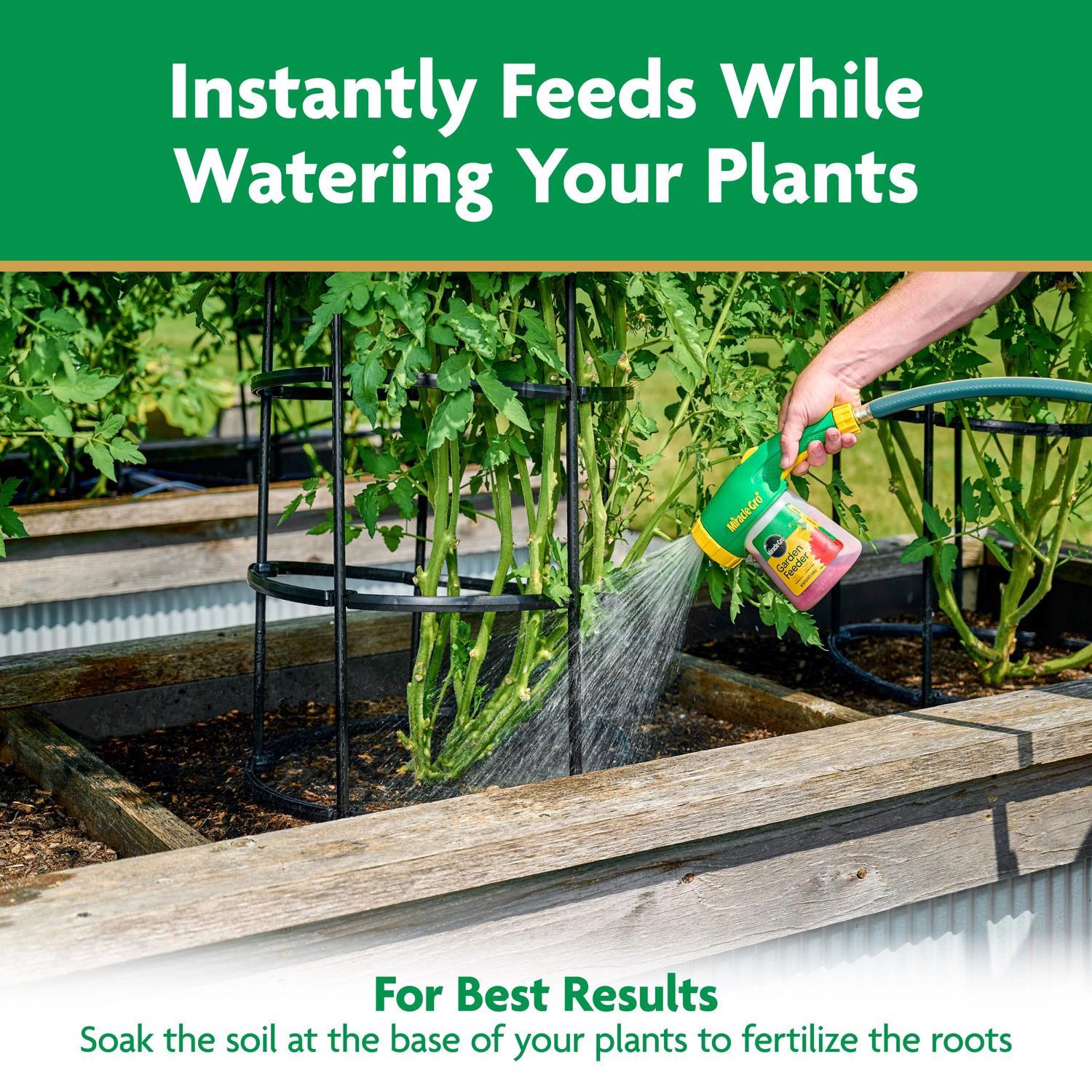 Miracle-Gro Granules Tomato Plant Food 1.5 lb