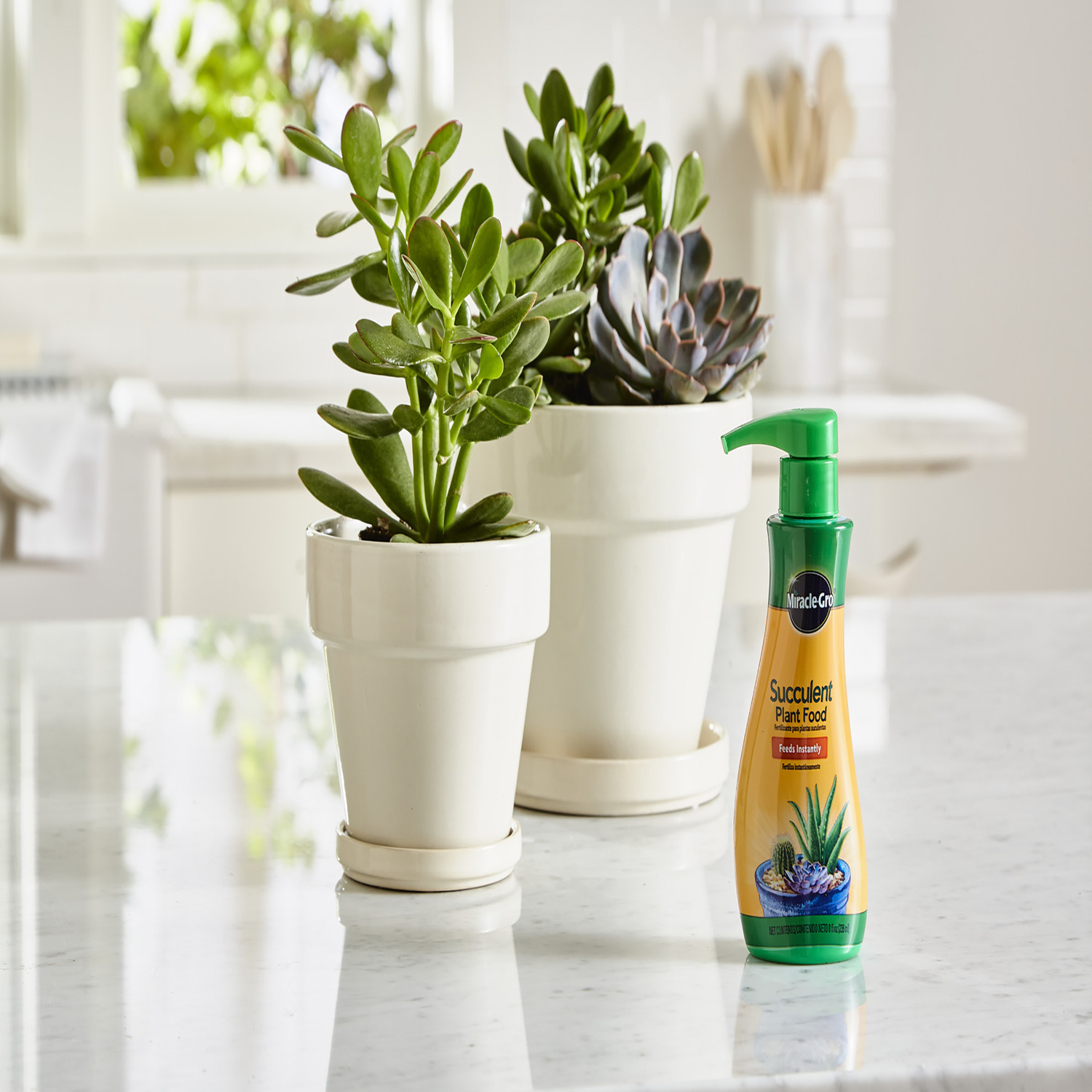Miracle-Gro Succulent Liquid Cacti, Jade and Aloe Plant Food 8 oz