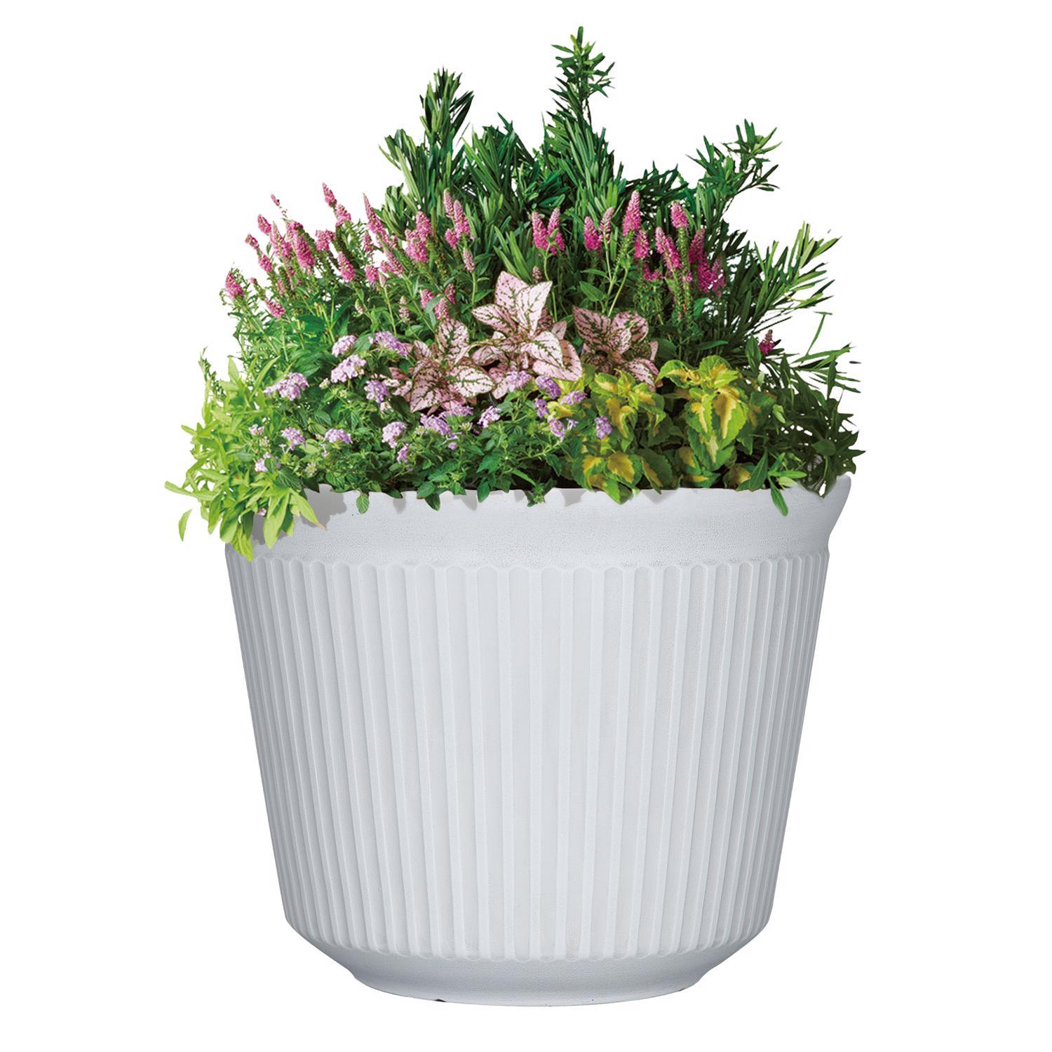 L&G 9.33 in. H X 12 in. W X 12 in. D X 12 in. D Polyresin Finola Planter White