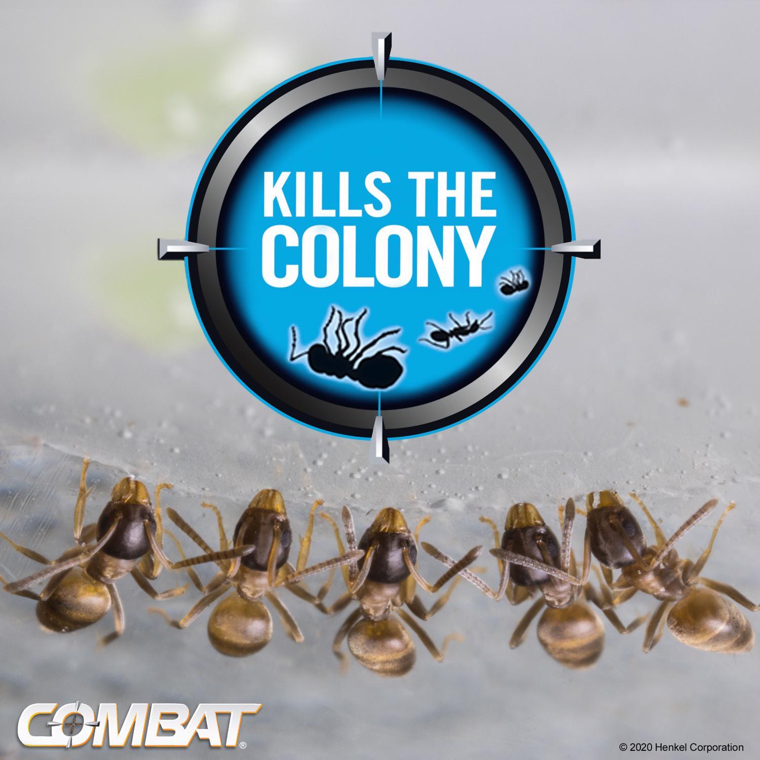 Combat Max Ant Bait Station 6 pk