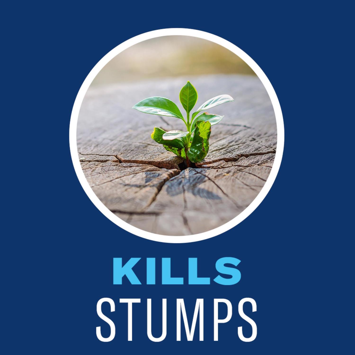 BioAdvanced Brush Killer Concentrate 32 oz